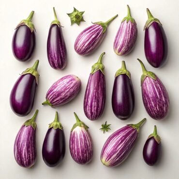 15 Easy Eggplant Recipes