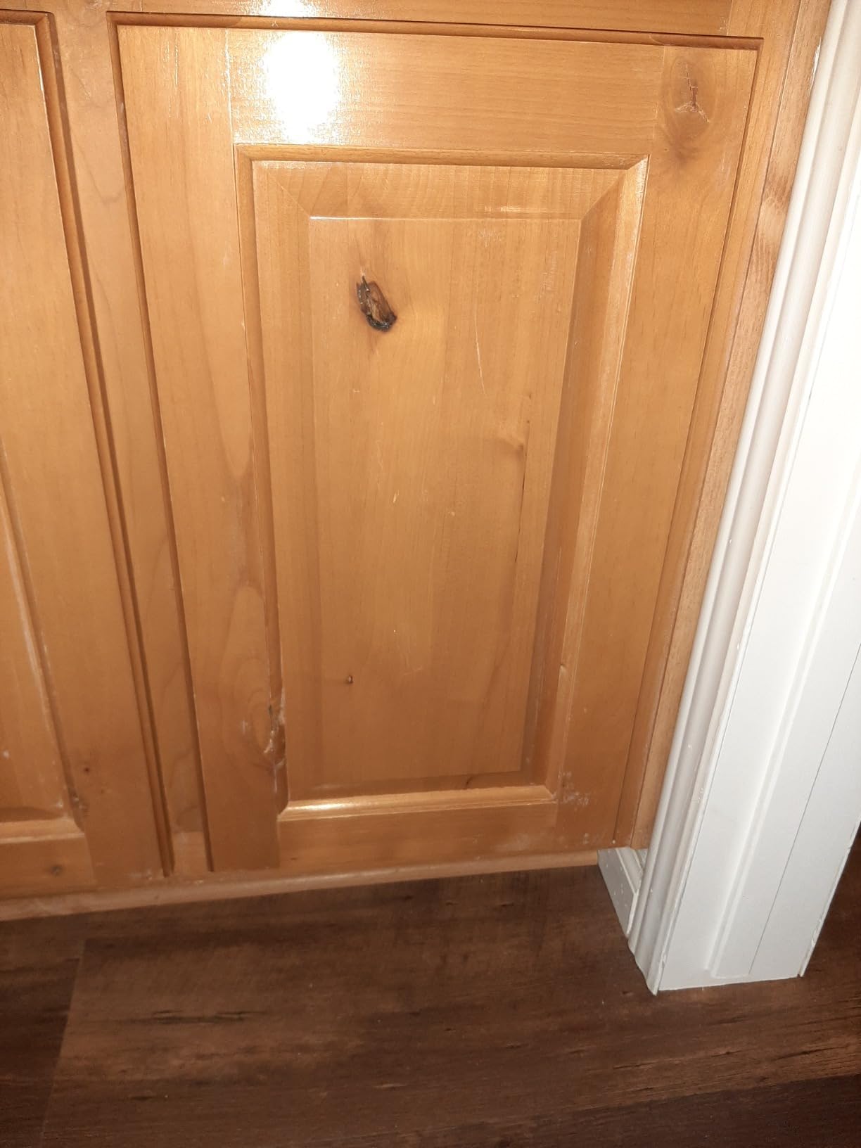 Rejuvenate Cabinet And Furniture Restorer Fills In Scratches, Shines And Protects Indoor Cabinets And Furniture, 16 Ounces - Customer Photo 4