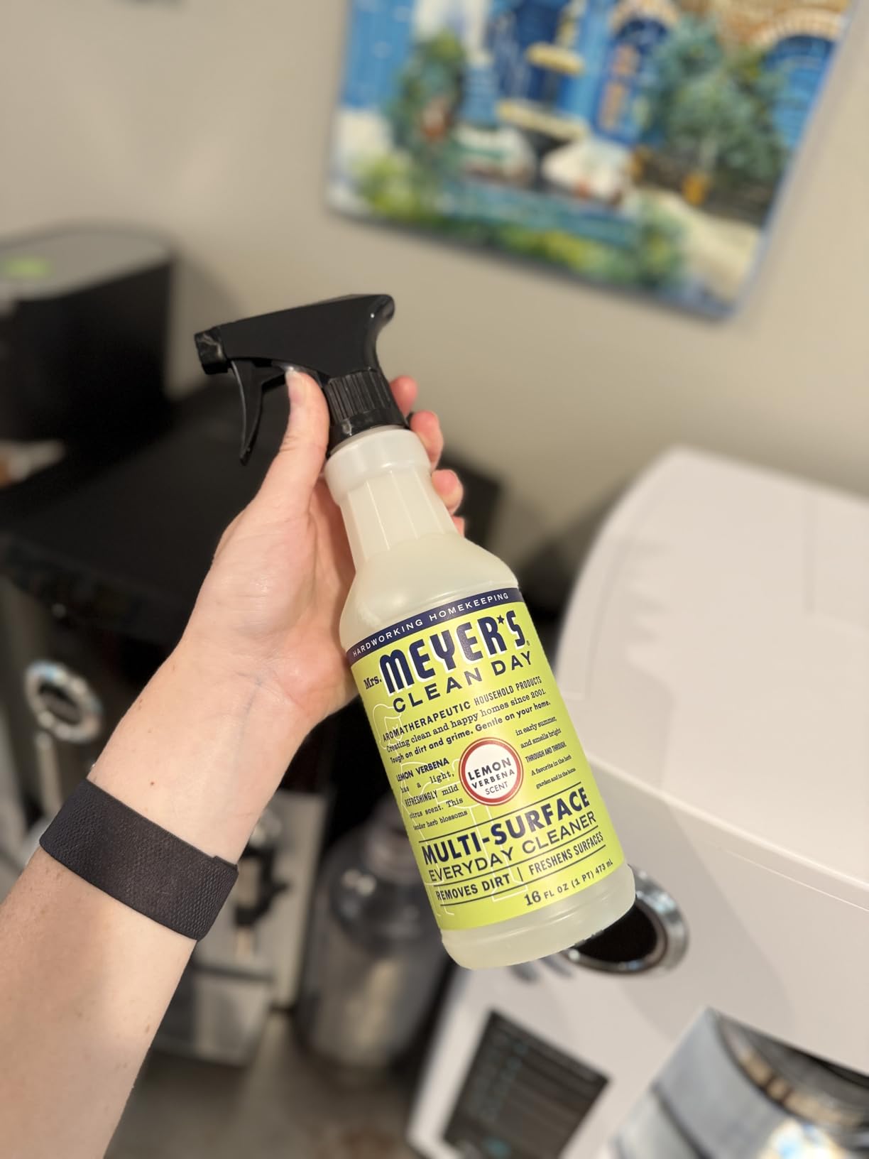 Mrs. Meyer's Clean Day All-Purpose Cleaner Spray, Lemon Verbena, 16 fl. oz - Customer Photo 3