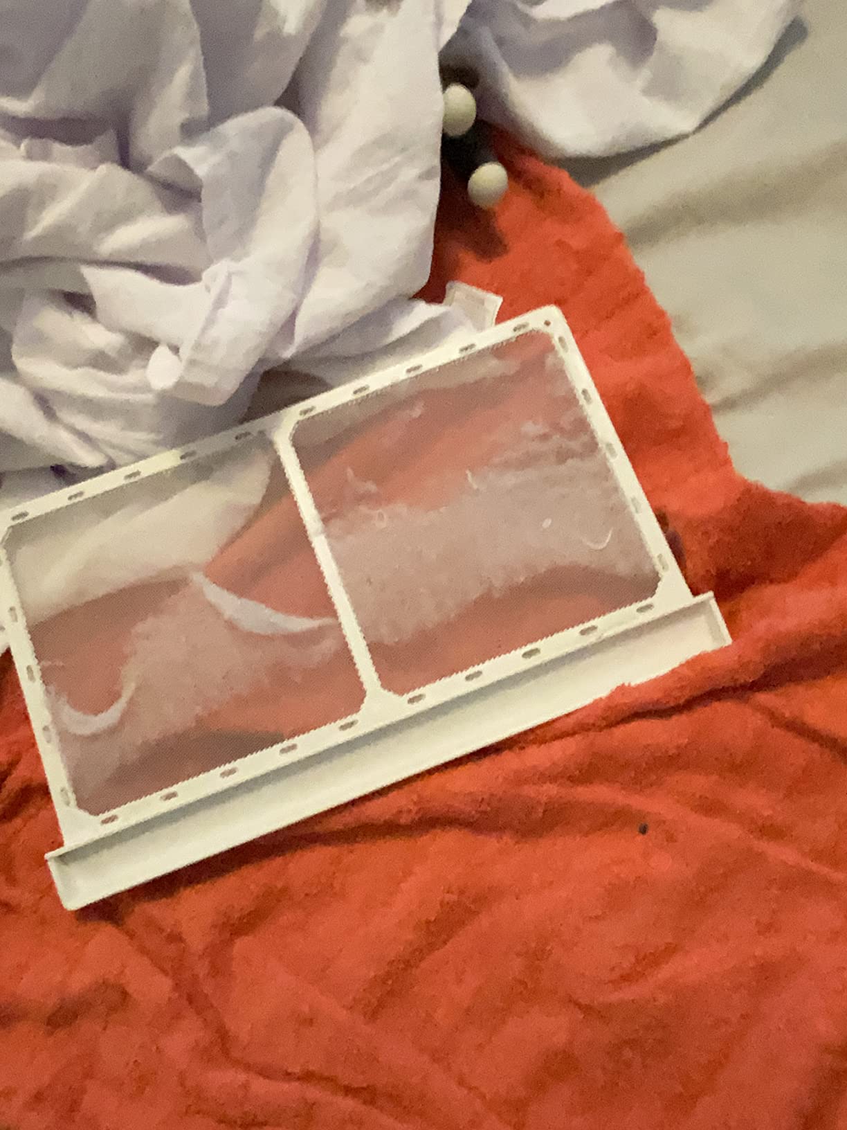 Utopia Kitchen White Flour Sack Towels [12 Pack - 28 x 28 Inch] 100% Cotton Tea Towels for Cleaning & Drying - Highly Absorbent Kitchen Dish Cloth customer photo 1