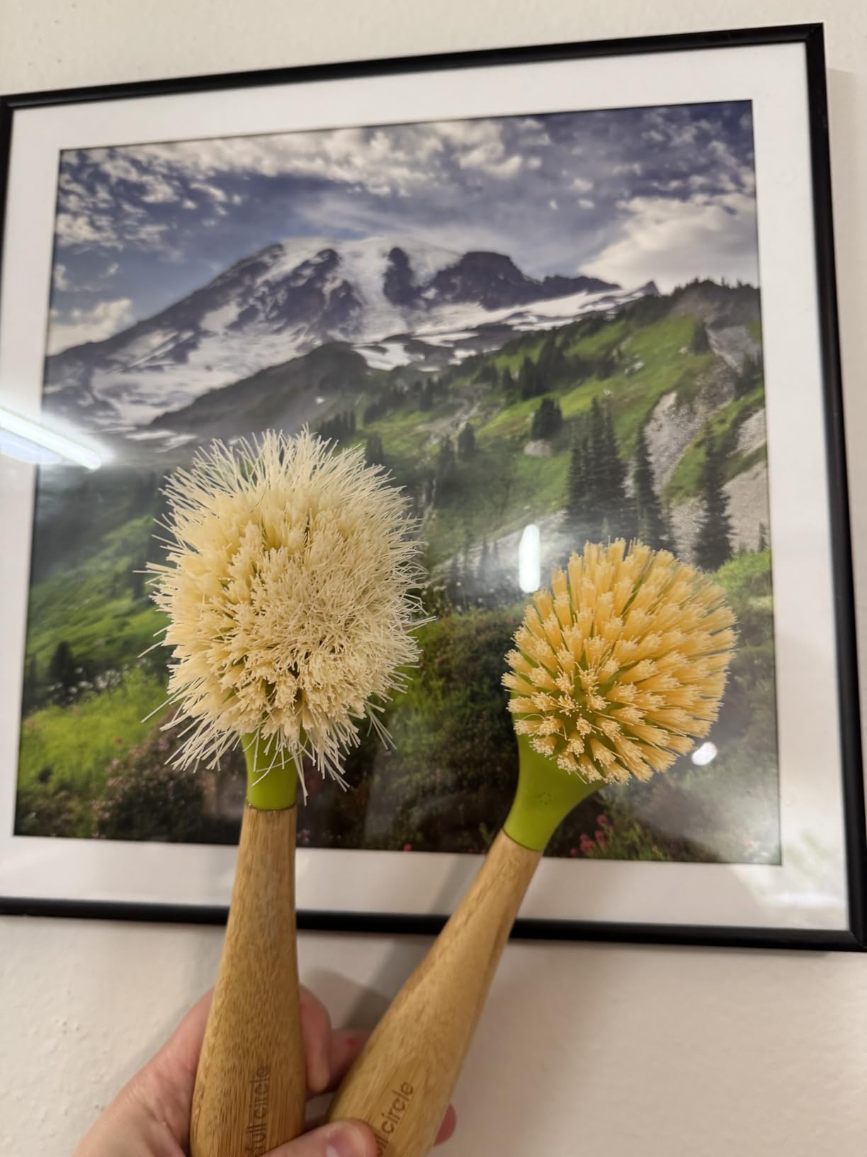 Full Circle Be Good - Bamboo Handle Dish Brush – Sustainable Kitchen Cleaning with Tough Bristles - Natural Dish Scrubber, Nonstick & Cast Iron Cleaner - Long Handle Brush for Dishes, Pots, and Pans - Customer Photo 0