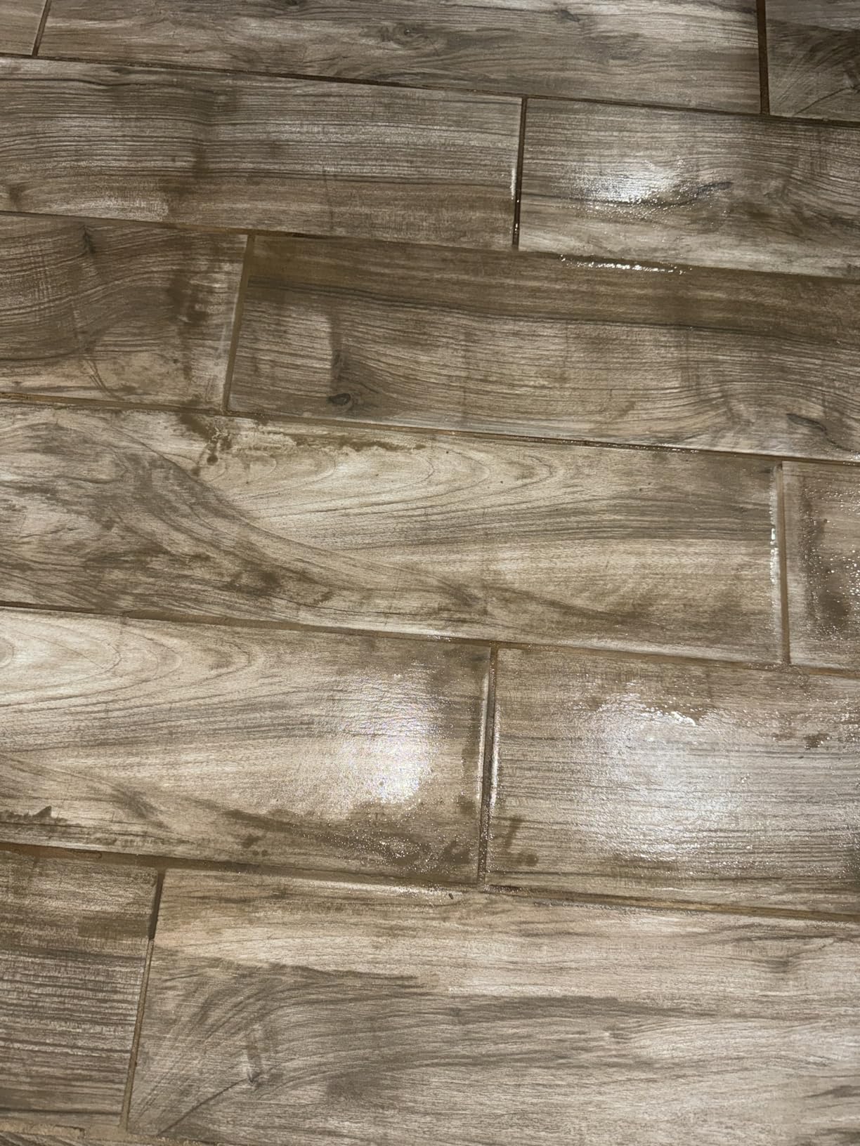 Wagner Spraytech C900134 925e Elite Steamer Multi-Purpose Mop with 20 Accessories for Chemical-Free Steam Cleaning, Hardwood Floors, Tile, and More - Customer Photo 1