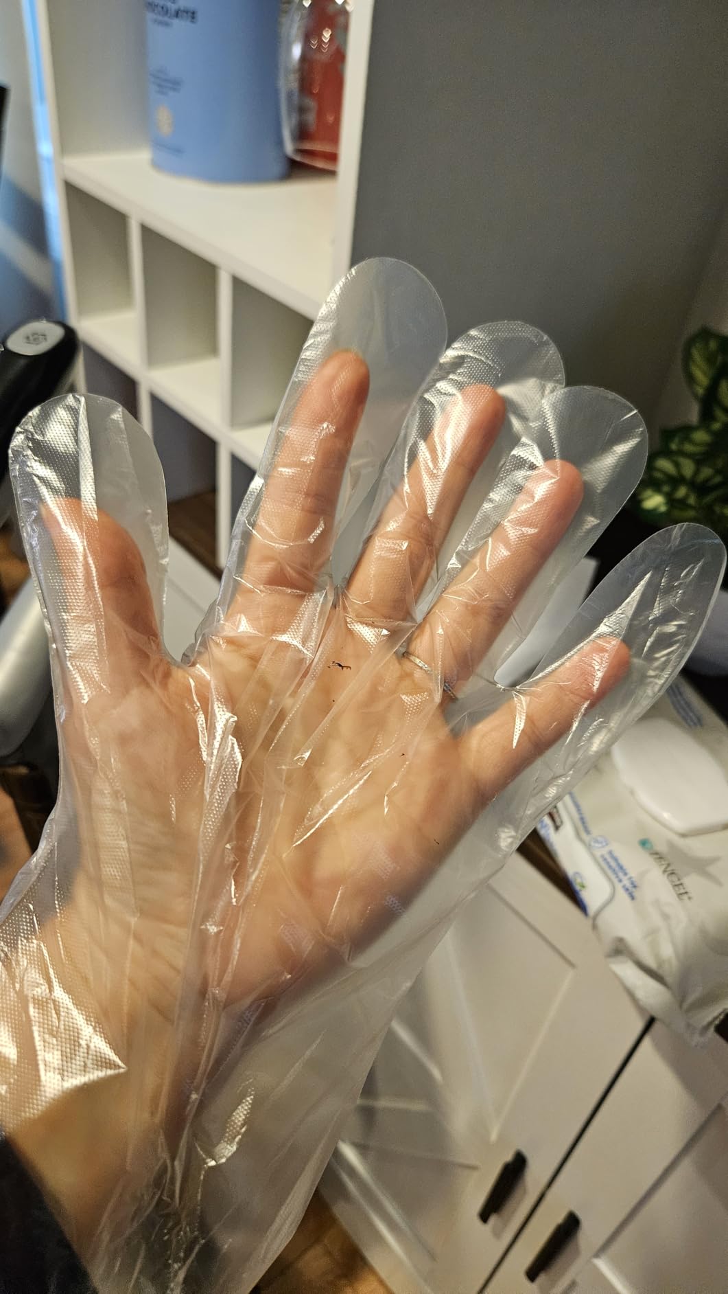 Brandon-super Food Prep Gloves Plastic Food Safe Brandon-super Gloves, Food Handling, One Size Fits Most Poly 500ct Clear 500 Count (Pack of 1) - Customer Photo 1