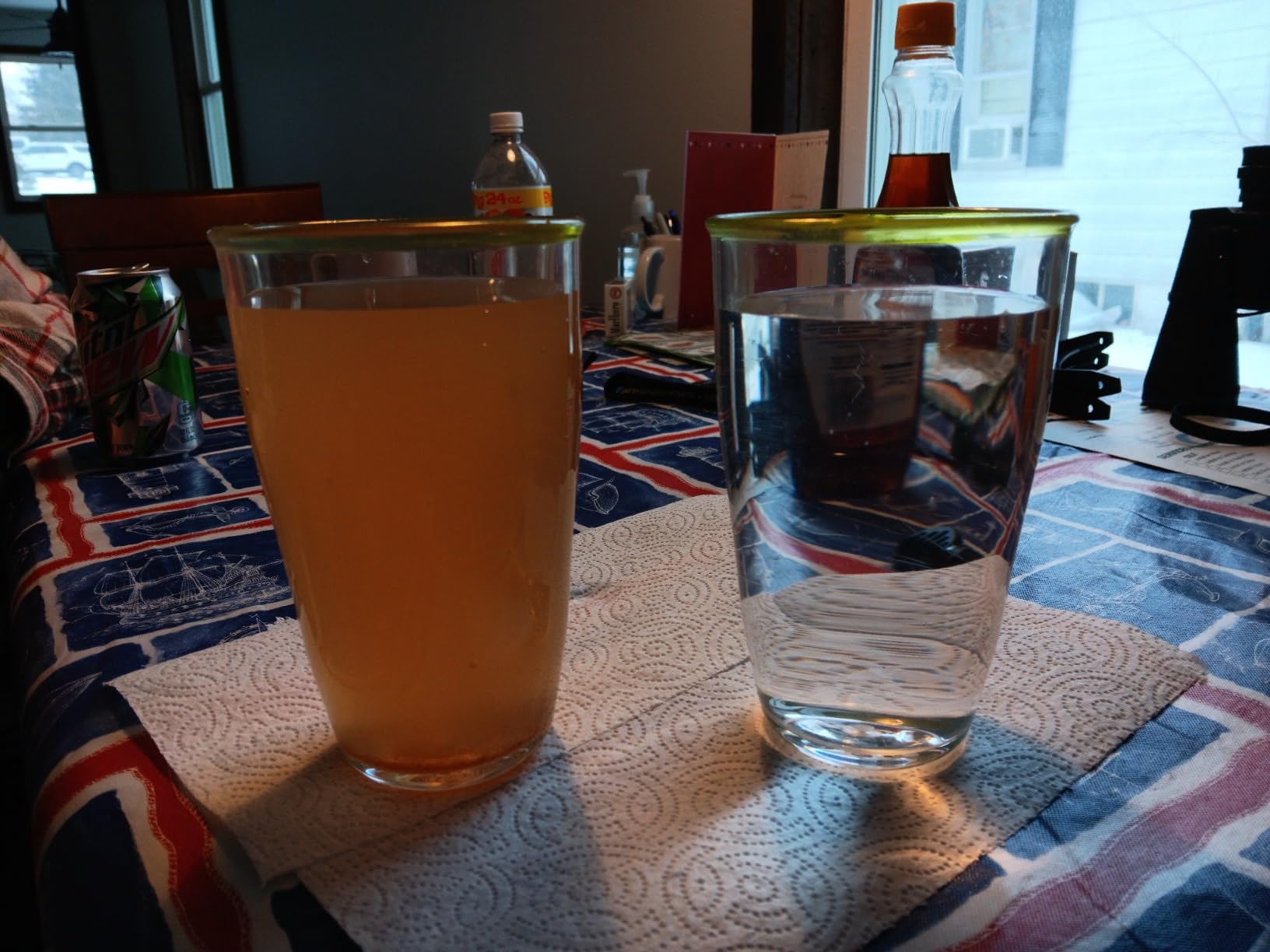 PRO+AQUA Heavy Duty Whole House Well Water Filter System - Customer Photo 1