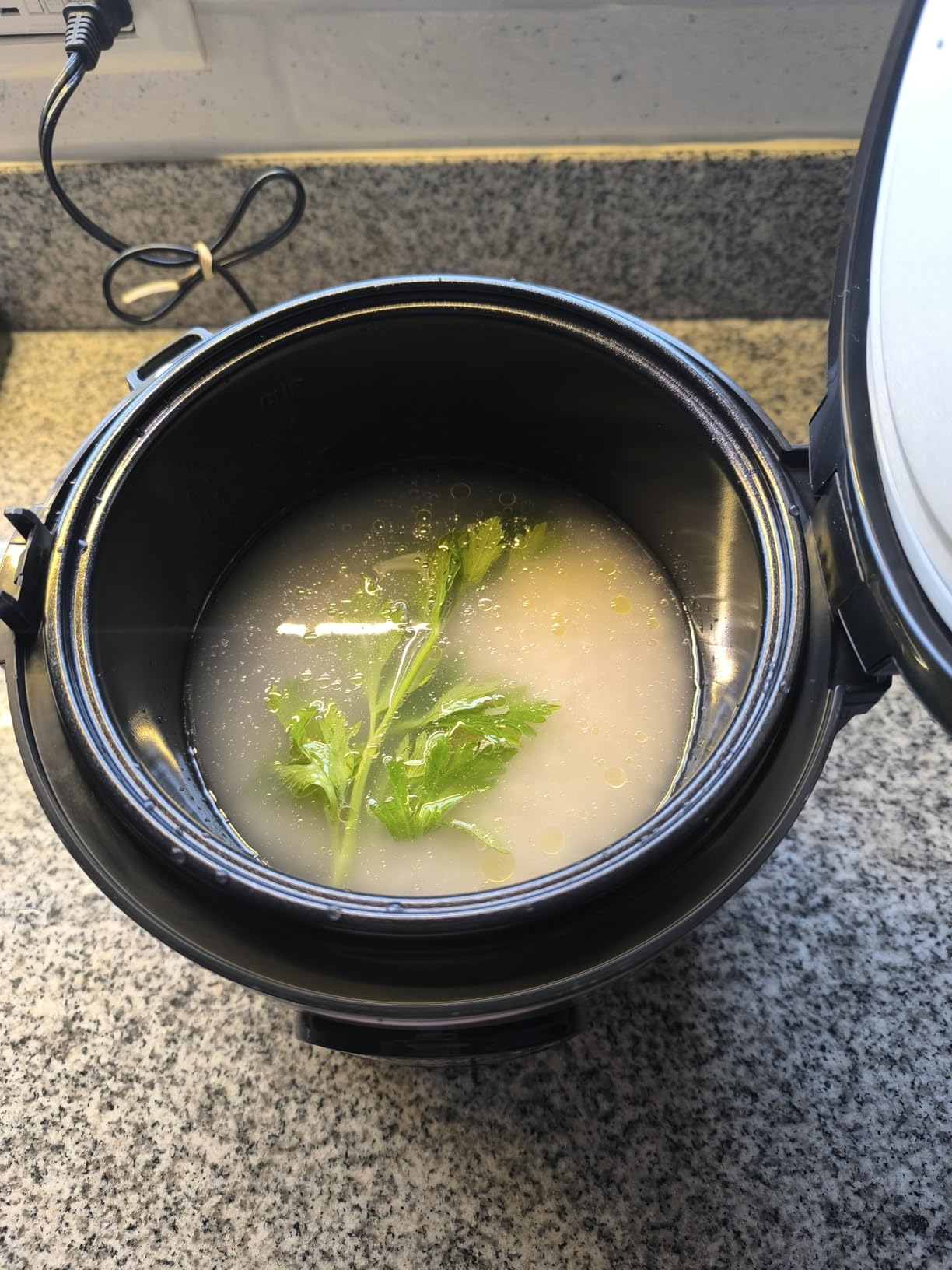 Hamilton Beach Digital Programmable Rice Cooker & Food Steamer, with Slow Hard-Boiled Egg Functions, Egg/Steam Tray, Small & Compact, 6 Cups Cooked (3 Uncooked), Stainless Steel (37524) - Customer Photo 1
