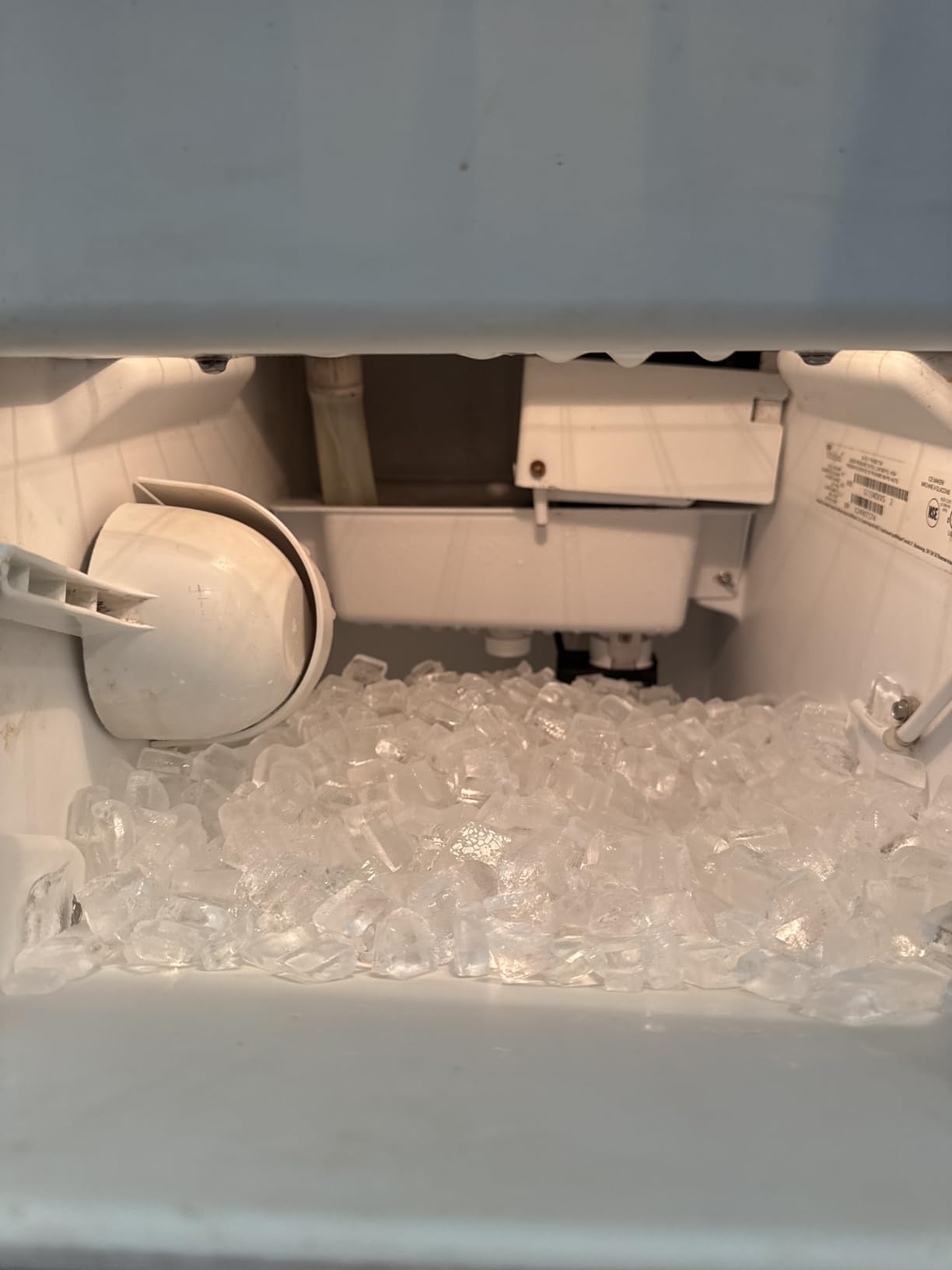 Essential Values 32 uses Ice Machine Cleaner (Gallon / 3.78), Descaler | Ice Maker Cleaner Compatible with: Whirlpool 4396808, Manitowac, Ice-O-Matic, Scotsman, Follett & More! - Customer Photo 3