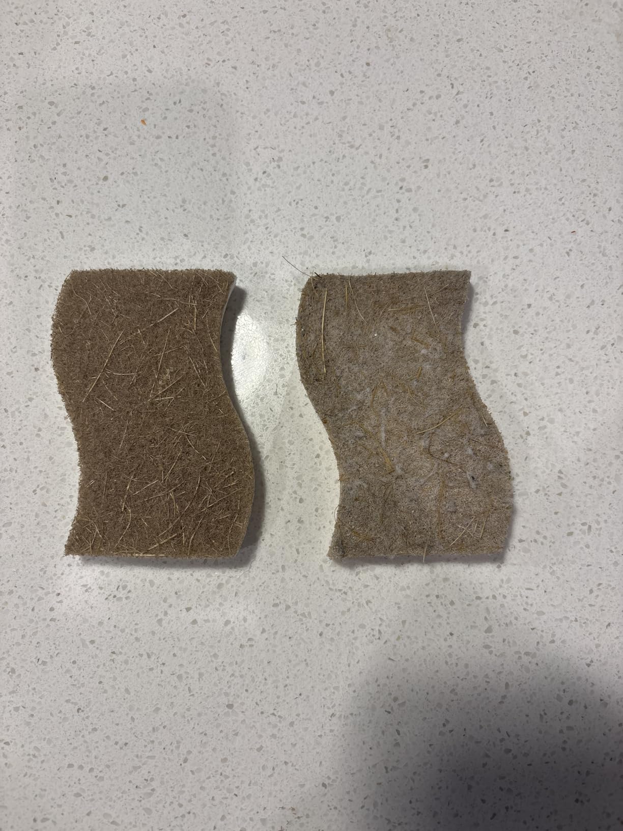 Biodegradable Natural Kitchen Sponge - Compostable Cellulose and Coconut Walnut Scrubber Sponge (12 Pack) Customer Review Biodegradable Natural Kitchen Sponge - Compostable Cellulose and Coconut Walnut Scrubber Sponge (12 Pack) - Customer Photo 5