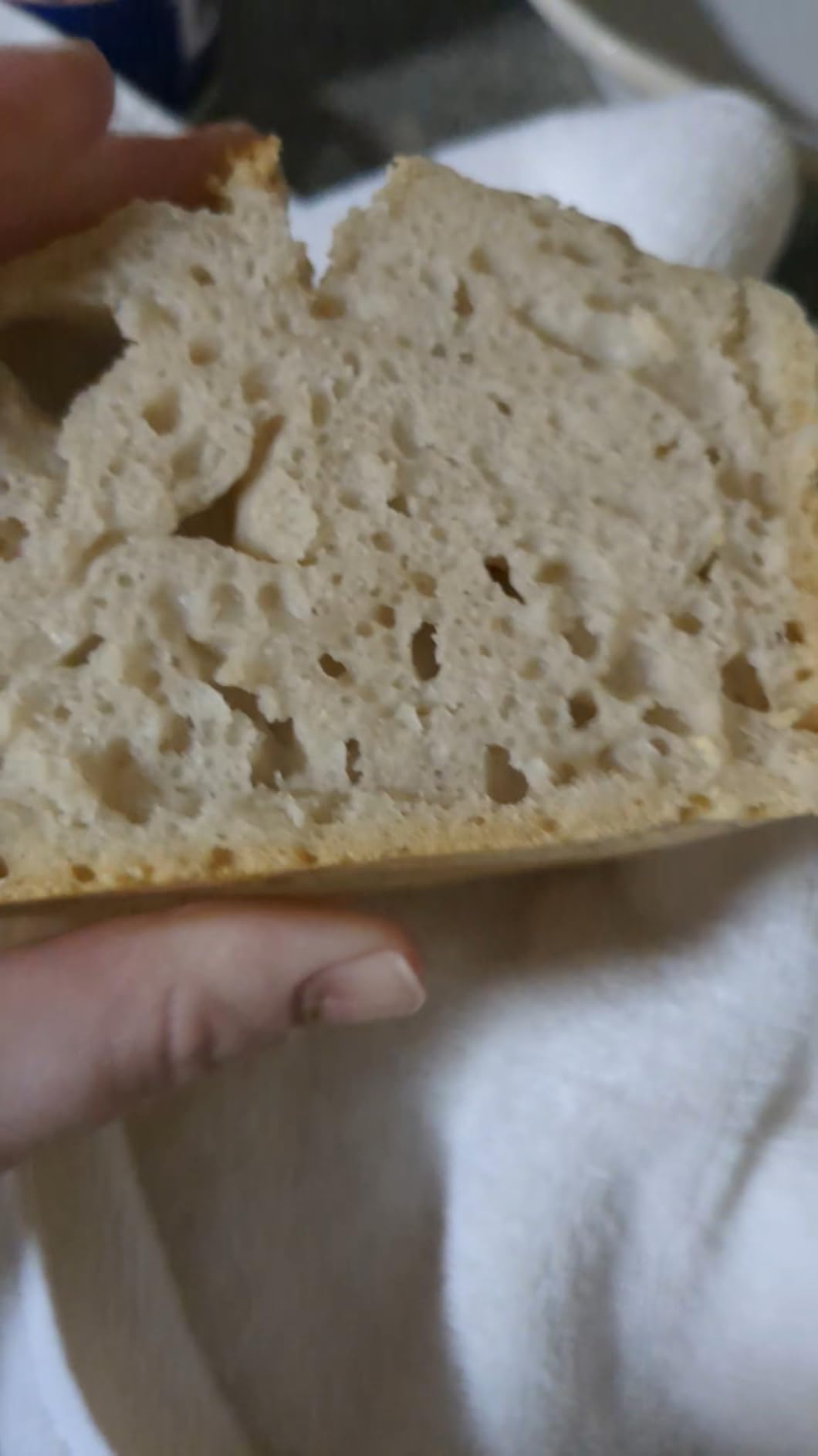 Lodge Cast Iron Loaf Pan - 8.5 x 4.5 Inch PFAS-Free Bread Baking Pan - Naturally Seasoned Cast Iron Bakeware for Sourdough, Meatloaf, Breads, and More - Made in the USA customer photo 1