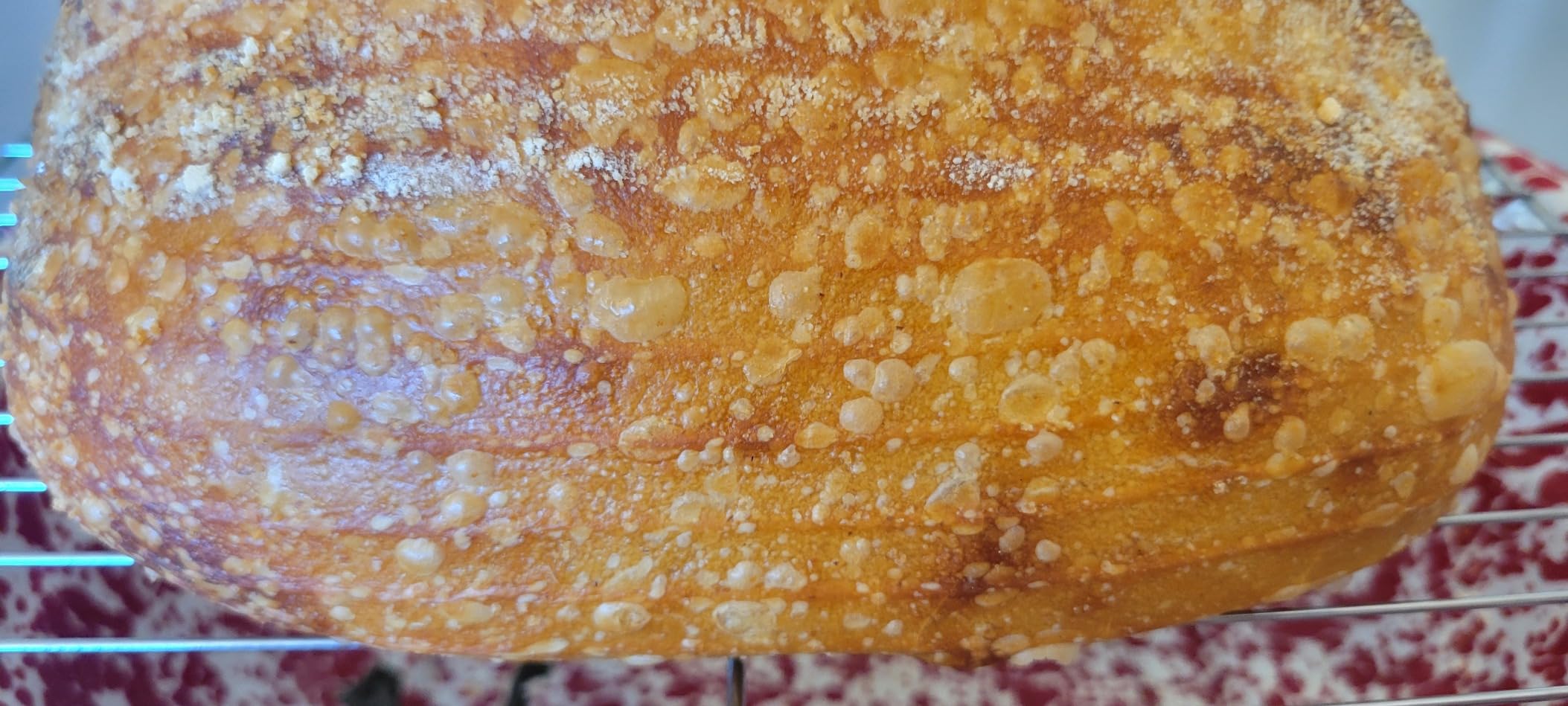 Challenger Bread Pan Cast Iron Loaf Pan with Lid for Homemade Breadmaking Sealed Bread Cloche Inverted Dutch Oven Set for Baking - Made In The USA - Customer Photo 4