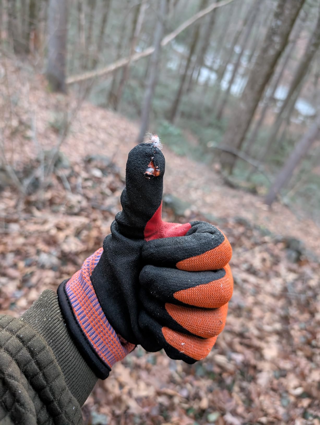 Schwer ProGuard High Level Cut Resistant Work Gloves PR3326 for Extreme Protection，ANSI A9 Cut Gloves with Reinforced Thumb, Non Slip, Breathable, Durable, Touch-screen, Black 1 Pair（L） customer photo 1