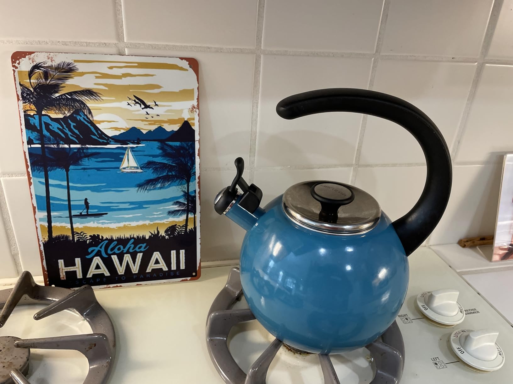 Circulon Enamel on Steel Whistling Teakettle/Teapot With Flip-Up Spout, 2 Quart - Black - Customer Photo 1