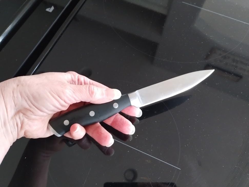 HENCKELS Forged Accent Razor-Sharp 2-pc Paring Knife Set, German Engineered Informed by 100+ Years of Mastery, Black Customer Review HENCKELS Forged Accent Razor-Sharp 2-pc Paring Knife Set, German Engineered Informed by 100+ Years of Mastery, Black - Customer Photo 1