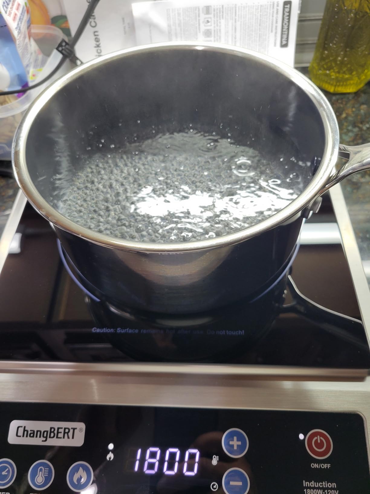CHANGBERT Induction Cooktop, Commercial Grade Portable Cooker, Large 8