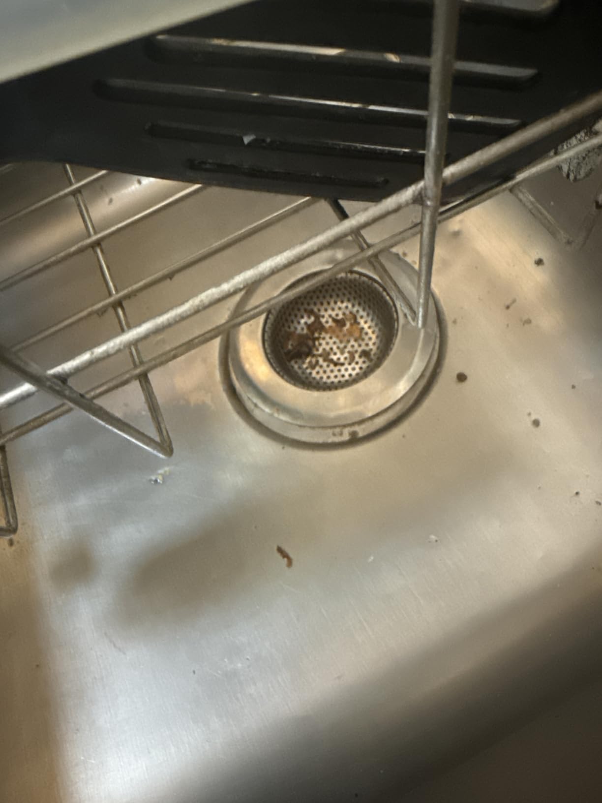 Honmein 2 Pcs Sink Strainer for Most Kitchen Sink Drain Basket, Upgraded Double-Layer Safe Design Kitchen Sink Strainer (Outer Diameter 4.5 Inch) customer photo 1