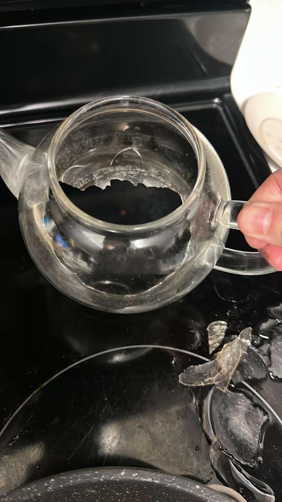 Teabloom Stovetop & Microwave Safe Glass Teapot with Removable Loose Tea Glass Infuser - Includes 2 Blooming Teas - 2-in-1 Tea Kettle and Tea Maker - Tea Purist's Choice customer photo 2