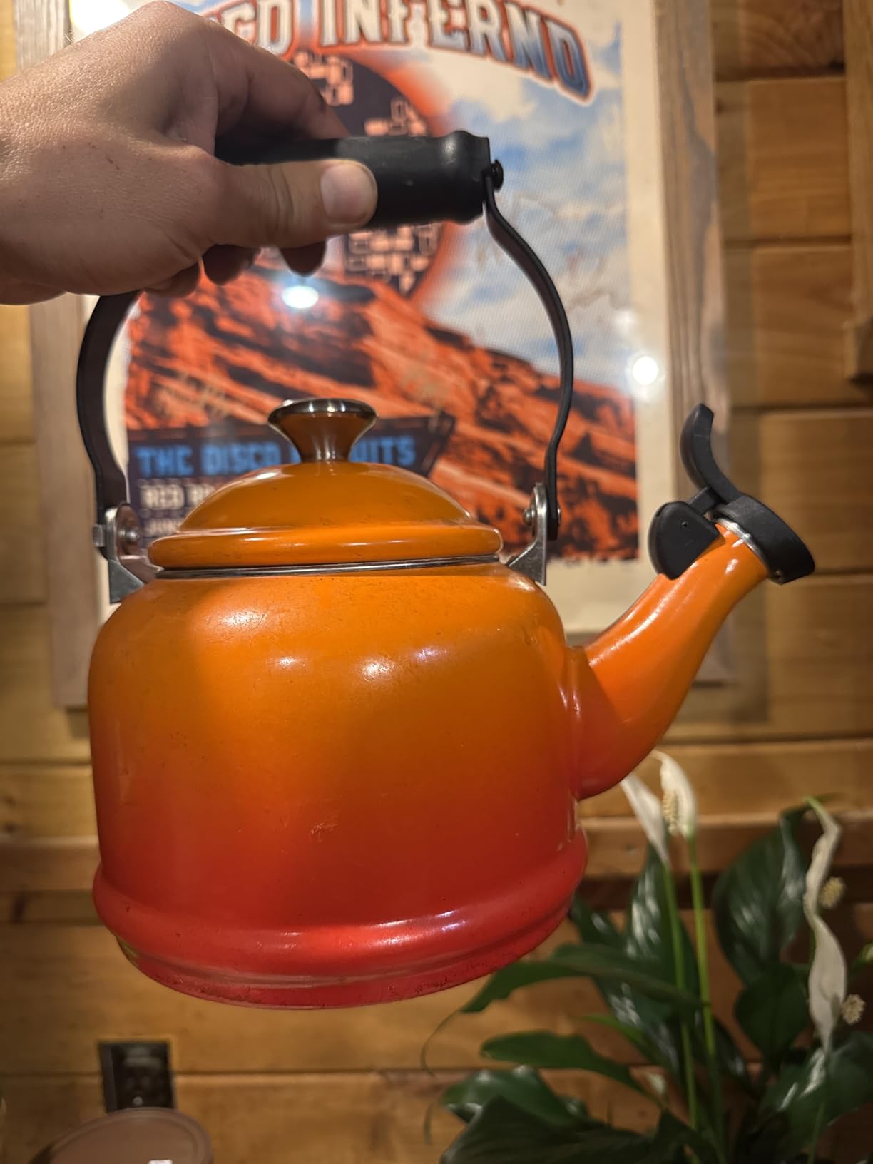 Le Creuset Enamel On Steel Demi Tea Kettle with Metal Finishes, 1.25 qt., Sea Salt - Customer Photo 1