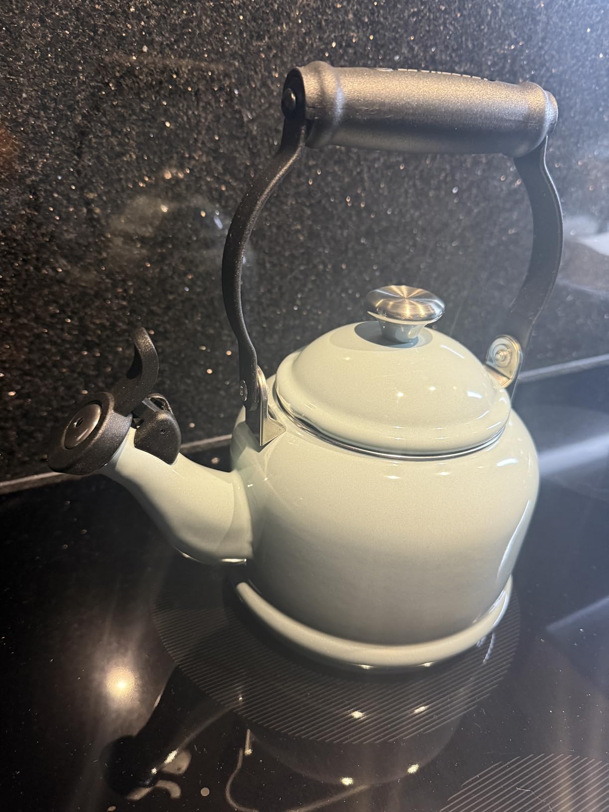 Le Creuset Enamel On Steel Demi Tea Kettle with Metal Finishes, 1.25 qt., Sea Salt - Customer Photo 3