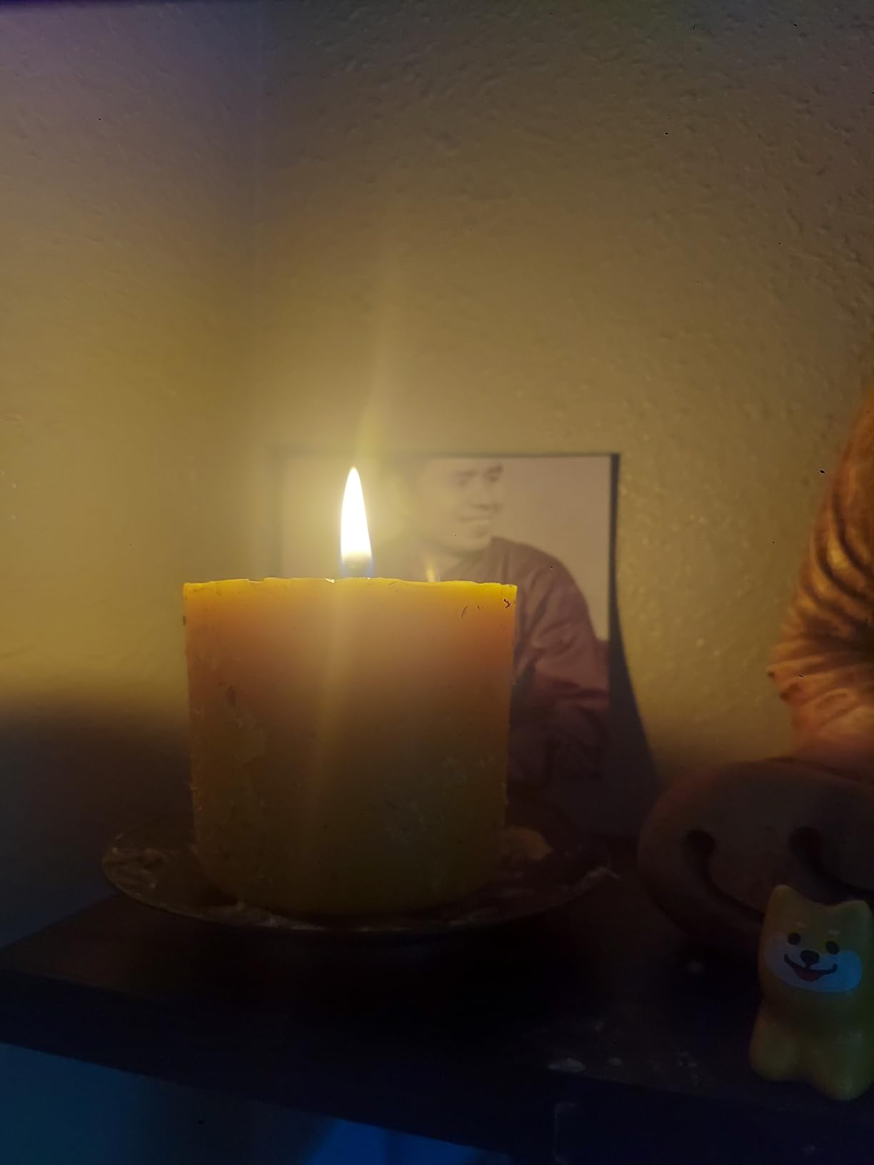 Orange Clove Organic Beeswax Candle | 2 Ingredients | 100% Pure Beeswax Candles, Non Toxic, Natural, Organic Candles, Beeswax Candles Scented, Non Toxic Candles, 80 Hour, 10oz - Customer Photo 1