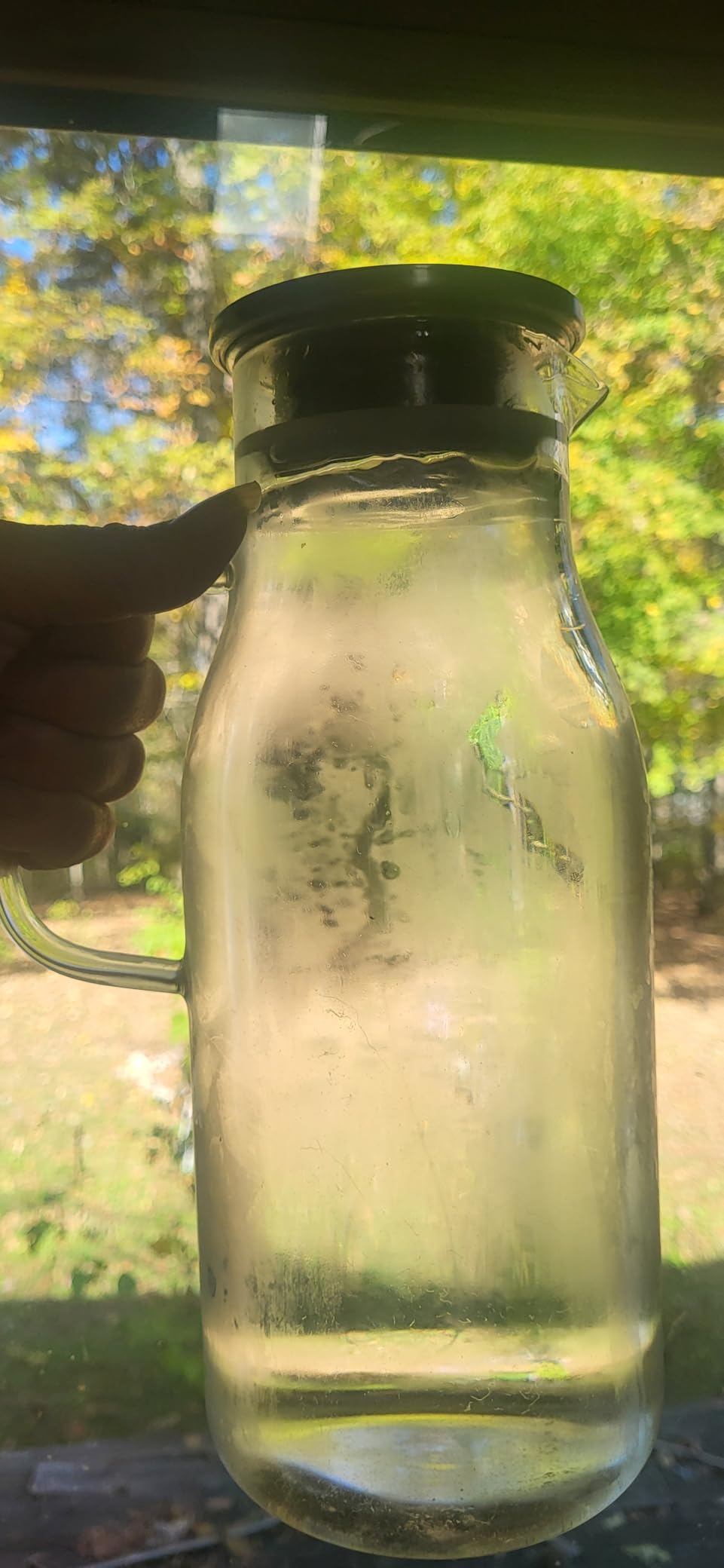 LUNA&MANTHA Glass Pitcher, 2 Liter 68oz Water Pitcher with Lid and Spout, Large Ice Tea Jug for Fridge, Thick Drink Jug with Handle for Juice, Coffee, Borosilicate Glass Carafe Hot/Cold Beverage - Customer Photo 0