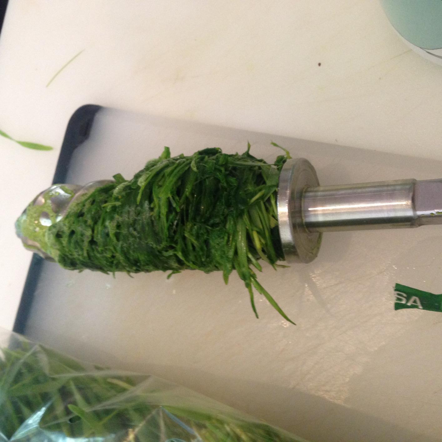 Miracle Pro Green Machine Wheat Grass Juicer - Customer Photo 0