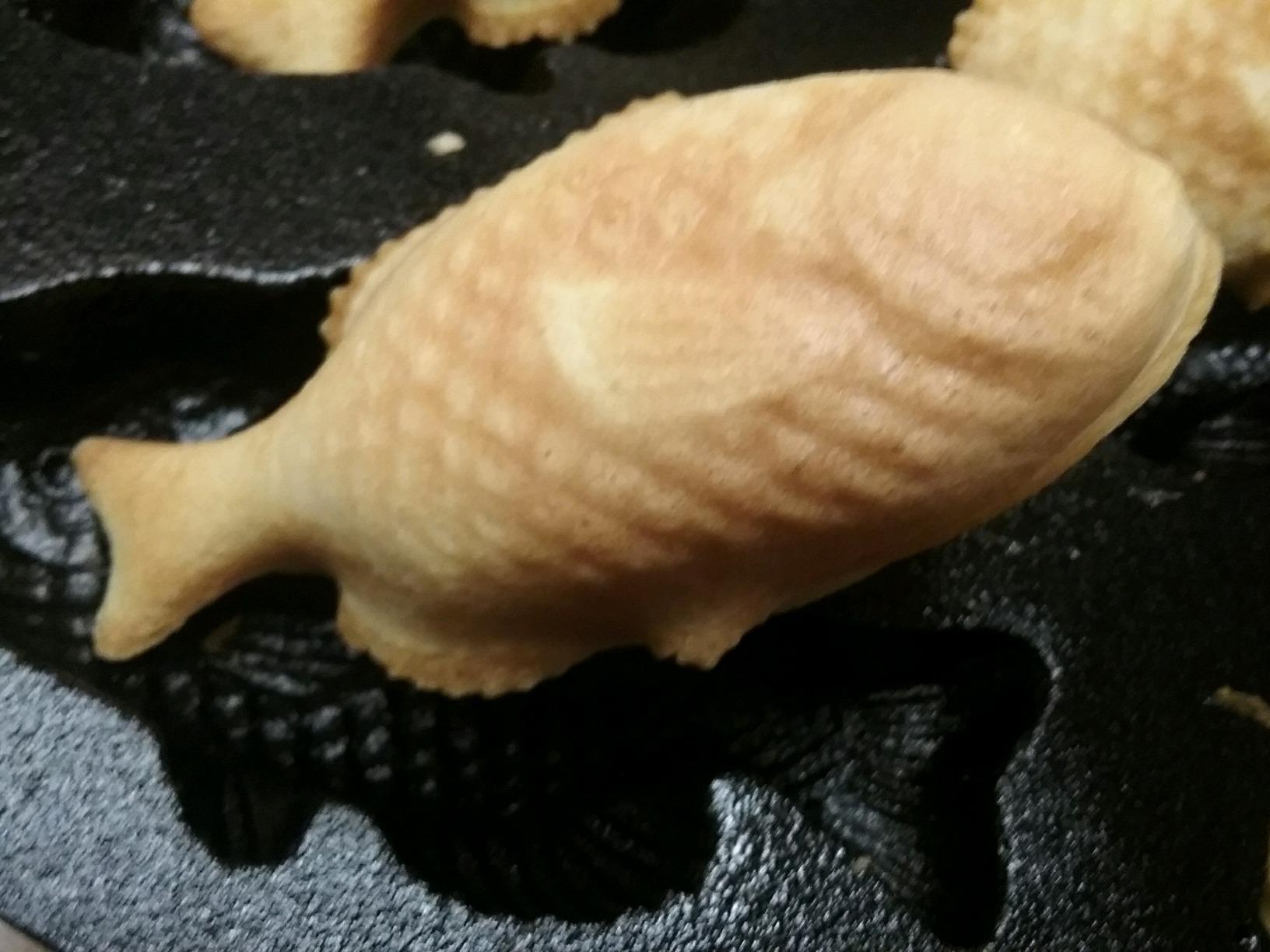 Old Mountain 10145 Fish Impression Cornbread Pan, Cast Iron, Black, 16.25 Inch customer photo 2