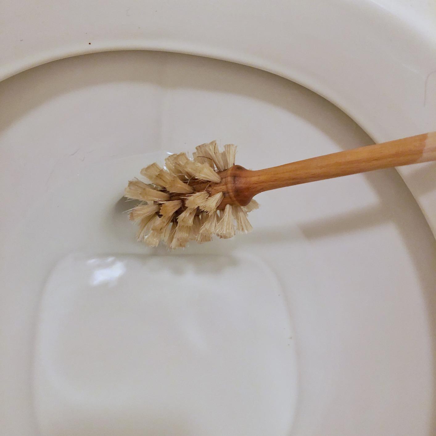 REDECKER Bottle Brush Cleaner - Horsehair and Beechwood Handle for Vases, Pitchers, Mugs, and Baby Bottles, 13-3/4 Inch, Dense Natural Bristles - Wooden Bottle Brush - Bottle Brush Wood Handle Customer Review REDECKER Bottle Brush Cleaner - Horsehair and Beechwood Handle for Vases, Pitchers, Mugs, and Baby Bottles, 13-3/4 Inch, Dense Natural Bristles - Wooden Bottle Brush - Bottle Brush Wood Handle - Customer Photo 2