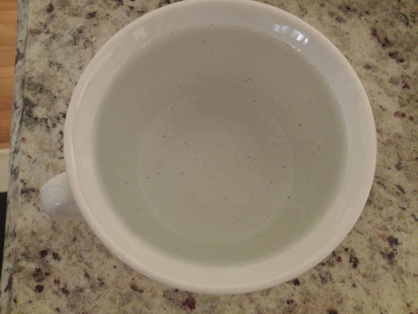 Waring Commercial MX1200XTX 3.5 HP Blender with Variable Speed Dial Controls and a 64 oz. BPA Free Copolyester Container, 120V, 5-15 Phase Plug - Customer Photo 2