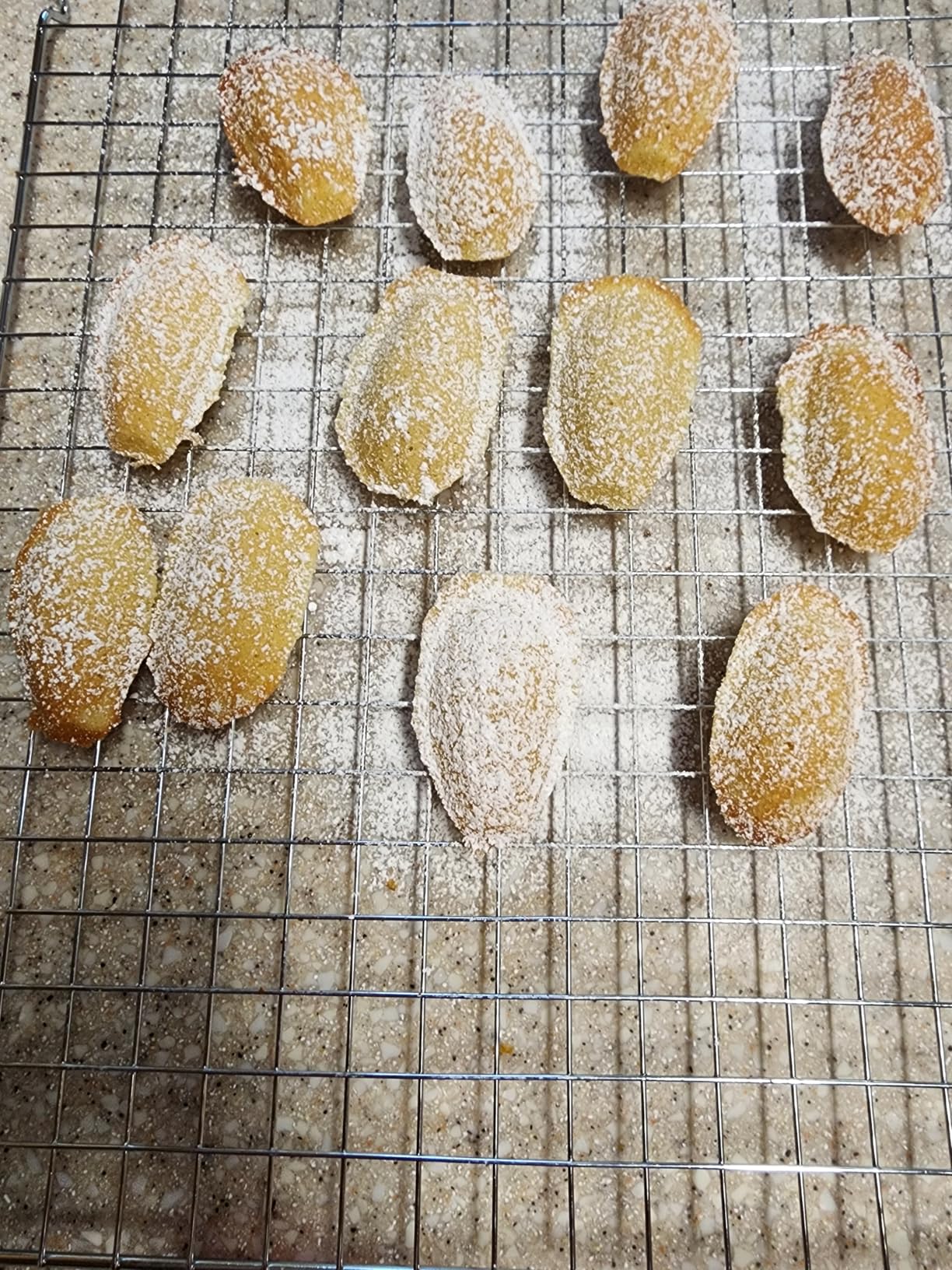 IBILI Madeleine Pan - 12-Cup Non-Stick French Bakeware | Made in Spain | 12-Cavity Shell Shape Madeleine Cake Pan, Carbon Steel for Perfect Madeleines, Warp-Resistant, Quick Release, Food-Grade customer photo 1