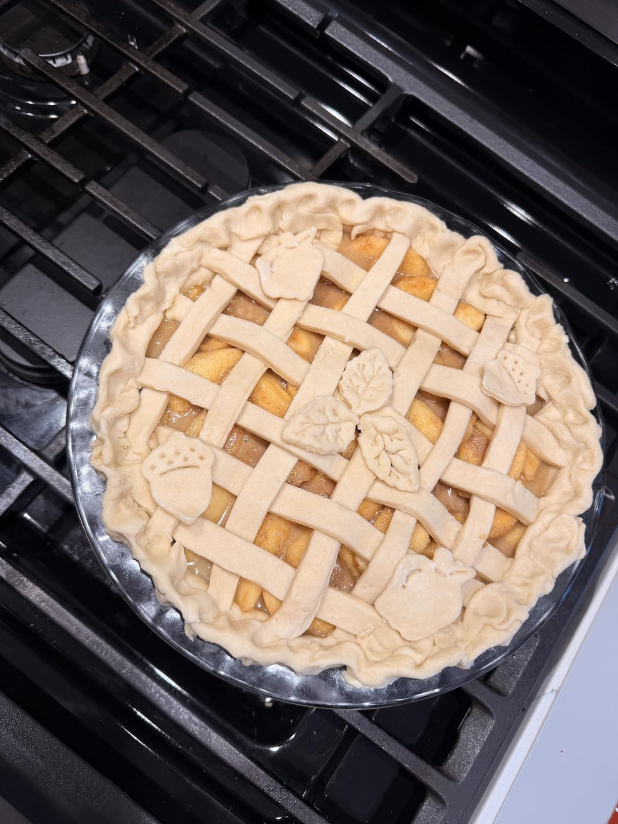 Fox Run Pie Top Cutters and Decorating Kit, 11-Piece Set customer photo 1