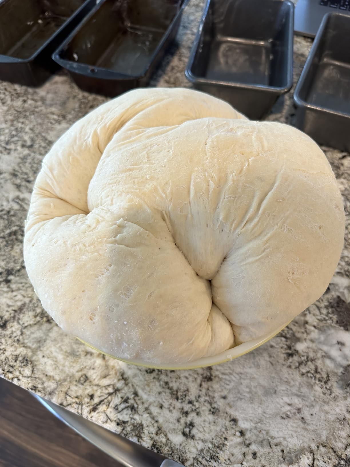 Bellemain 3 Cup Flour Sifter for Baking Fine Mesh Rotary Hand Crank with Loop Agitator for Quick Sifting, Flour Sifter Stainlees Steel customer photo 2