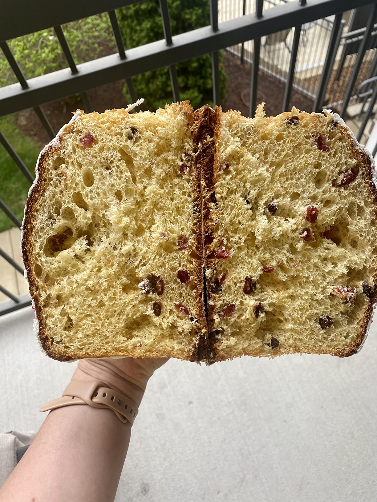 Panettone Mold - P170, 12 Pieces customer photo 2