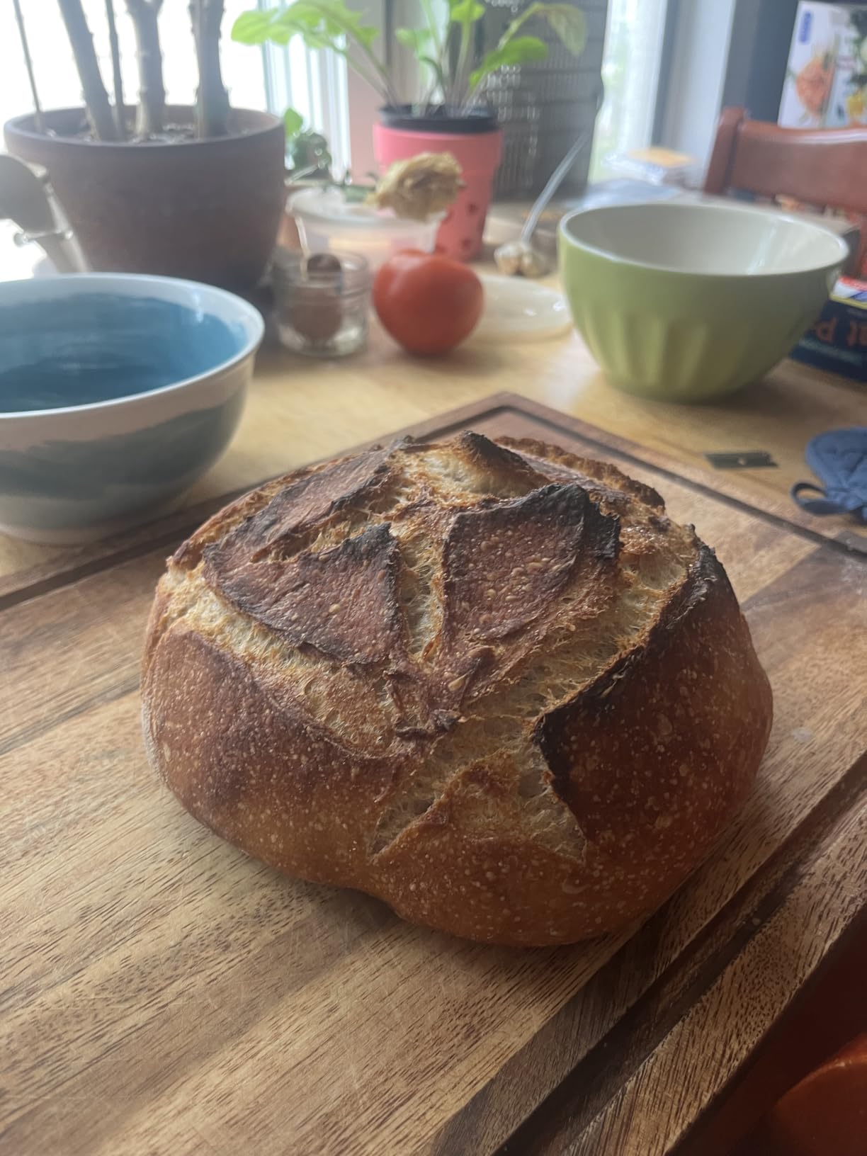 Amazon Basics Multi-Purpose Bench Scraper, Stainless Steel Dough Cutter with Measurement Marks, Dishwasher Safe, Non-slip Contoured Grip, 6