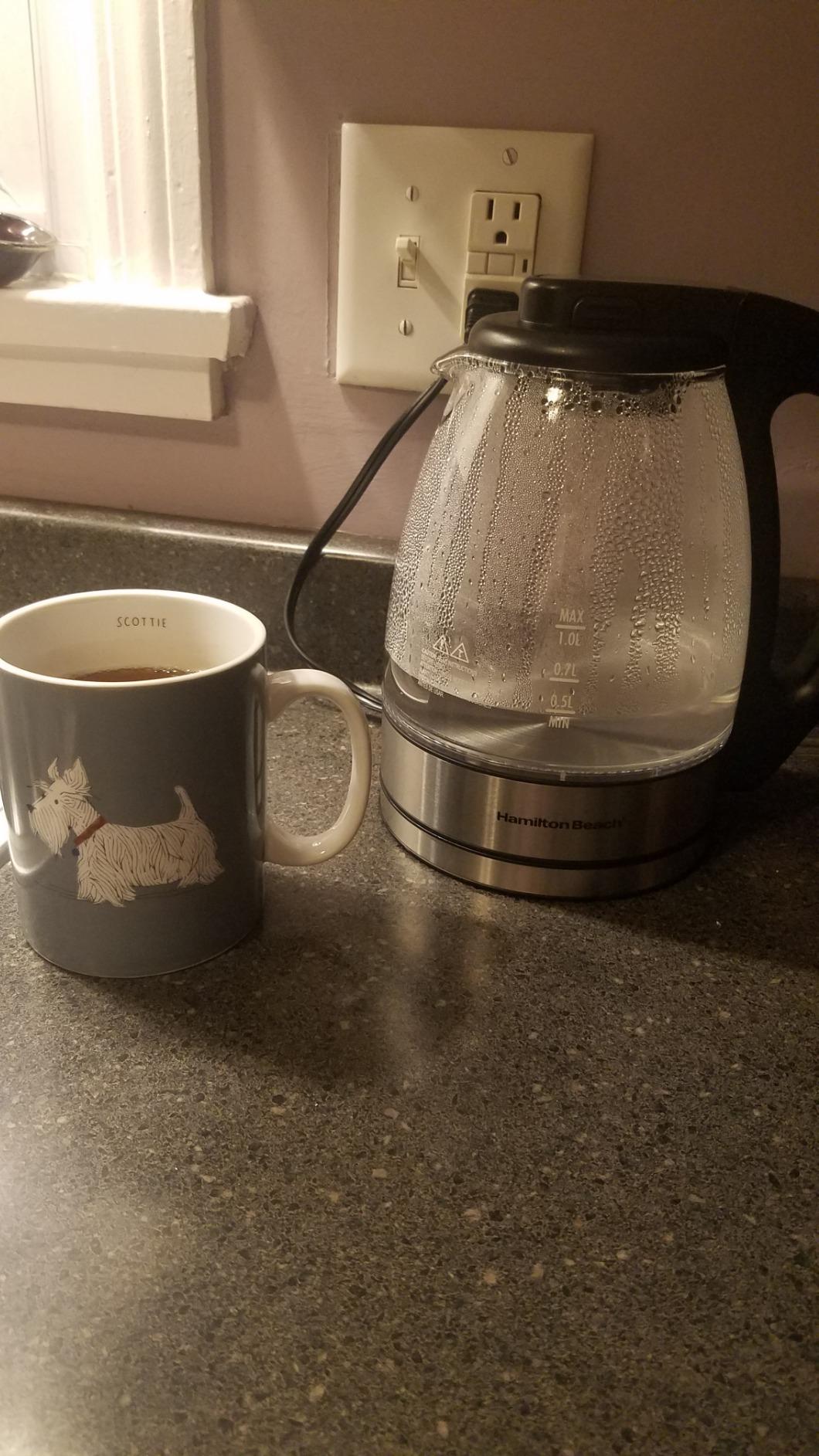 Hamilton Beach Glass Electric Tea Kettle, Water Boiler & Heater, 1 Liter, 1500 Watts for Fast Boiling, BPA Free, Cordless Serving, Auto-Shutoff & Boil-Dry Protection, Soft Blue LED (40930) customer photo 2