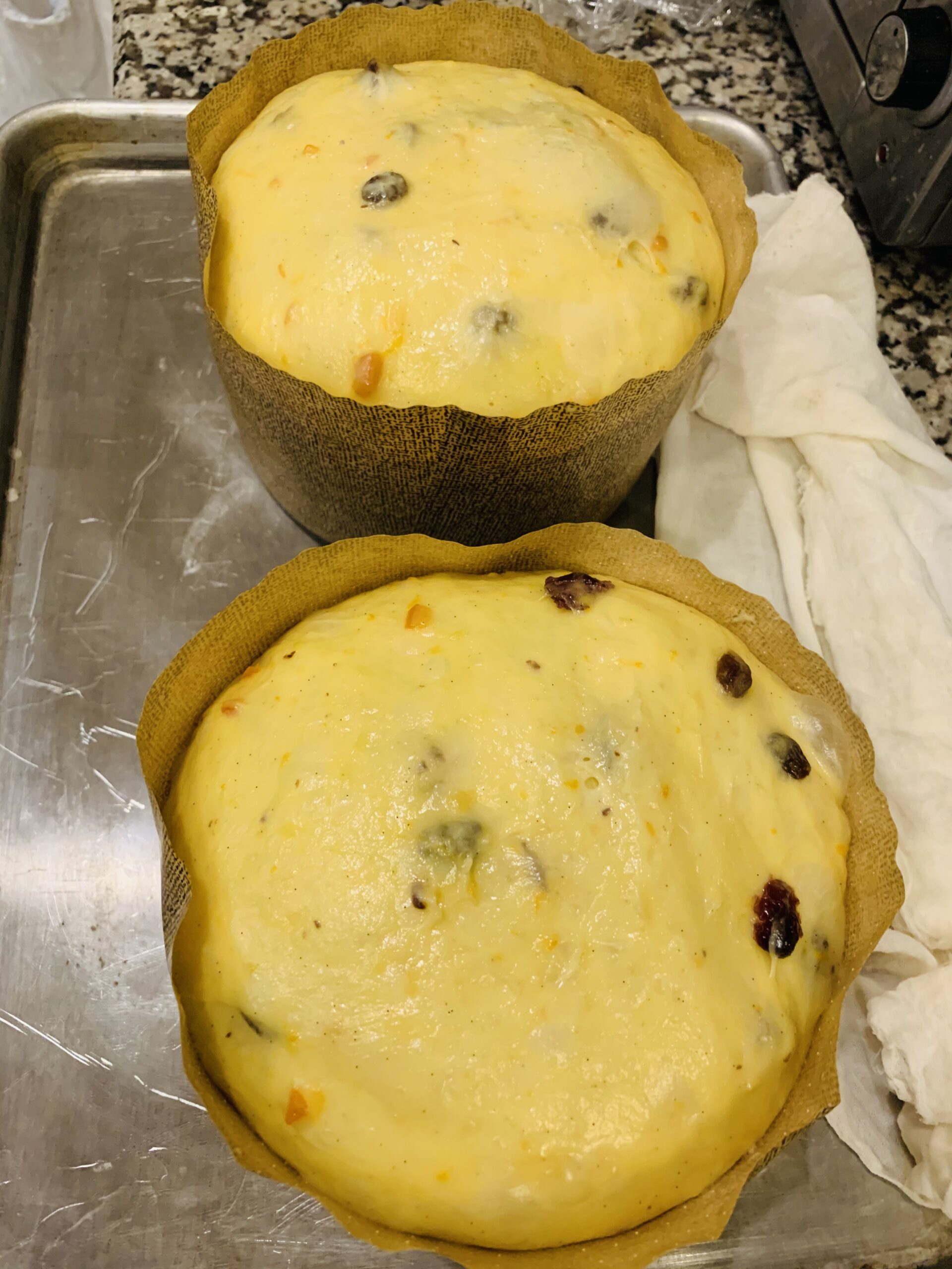 Panettone Mold - P155, 12 Pieces customer photo 2