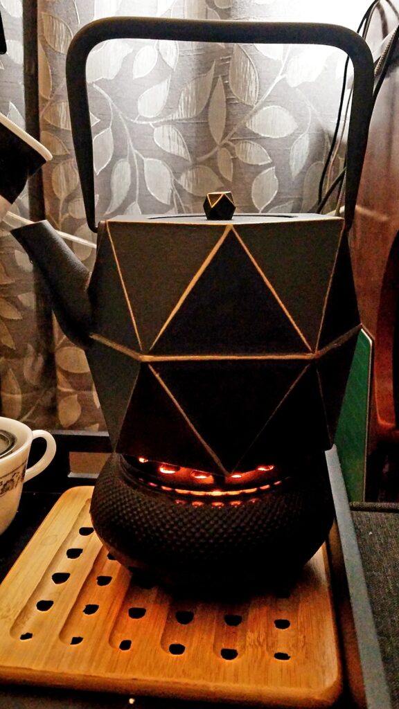 Toptier Cast Iron Teapot, Stovetop Safe Japanese Cast Iron Tea Kettle, Diamond Design Tea Pot with Removable Infuser for Loose Tea, 30 Ounce (900 ml), Dark Green - Customer Photo 0