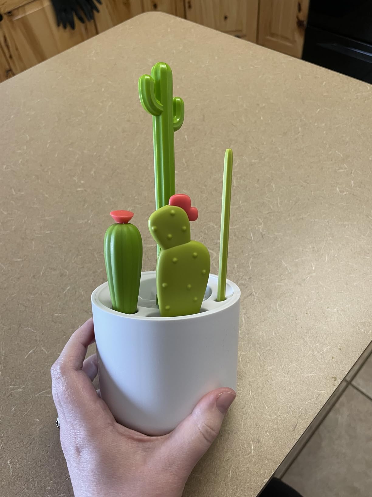 Boon Cacti Bottle Cleaning Brush Set - Includes Bottle Brush, Nipple Brush, Detail Brush, and Straw Brush - Baby Bottle Brush Set for Bottle Drying Rack - Baby Essentials - 4 Count Customer Review Boon Cacti Bottle Cleaning Brush Set - Includes Bottle Brush, Nipple Brush, Detail Brush, and Straw Brush - Baby Bottle Brush Set for Bottle Drying Rack - Baby Essentials - 4 Count - Customer Photo 1