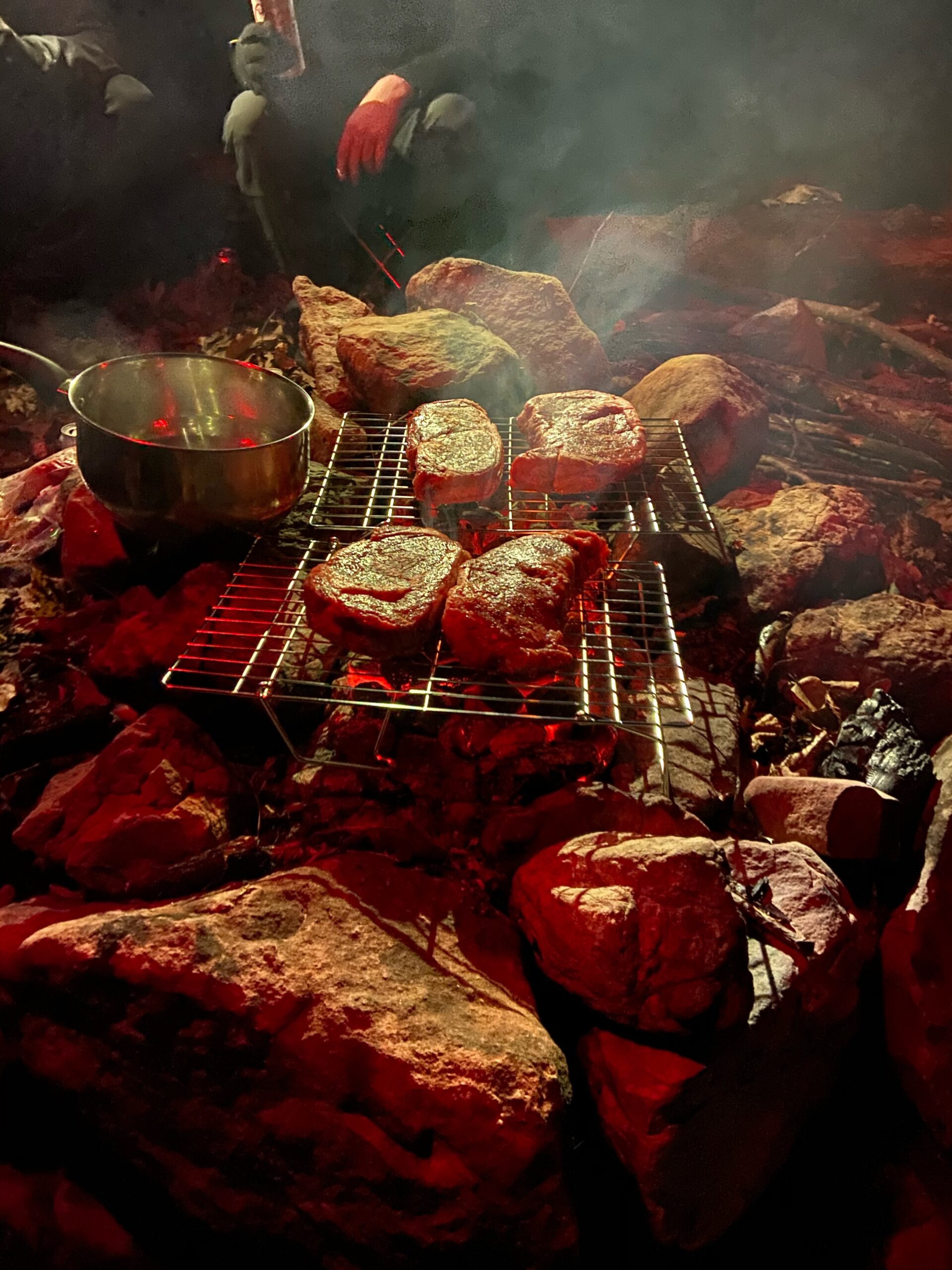 P&P CHEF Cooling Rack Set of 2, 2-Tier Stackable Stainless Steel Wire Racks for Baking Cooking Cooling Roasting, Collapsible & Heavy Duty, Oven Safe & Easy Clean, 15