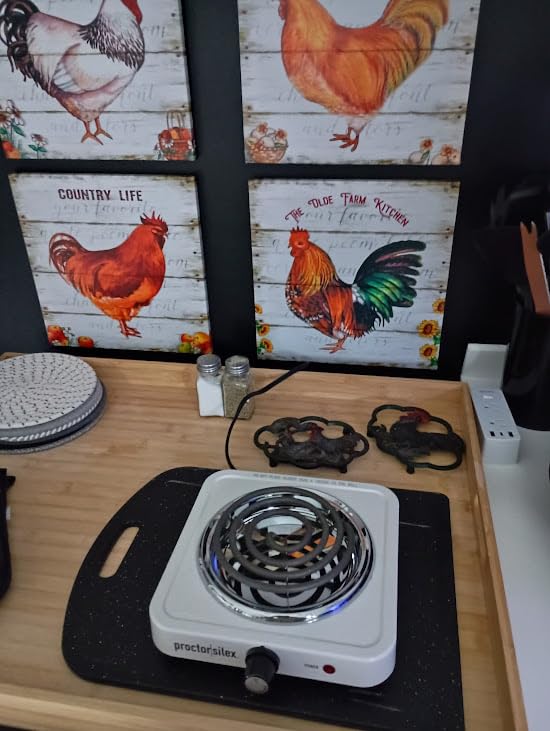 Proctor Silex Portable Electric Stove, Stainless Steel Single Burner Cooktop, Compact, Adjustable Temperature Hot Plate, 1200 Watts, White (34106) - Customer Photo 1