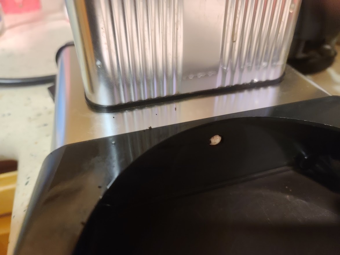 Technivorm Moccamaster 79317 KBGT thermal Carafe 10-Cup Coffee Maker 40 Ounce, Stone Grey 1.25l - Customer Photo 3