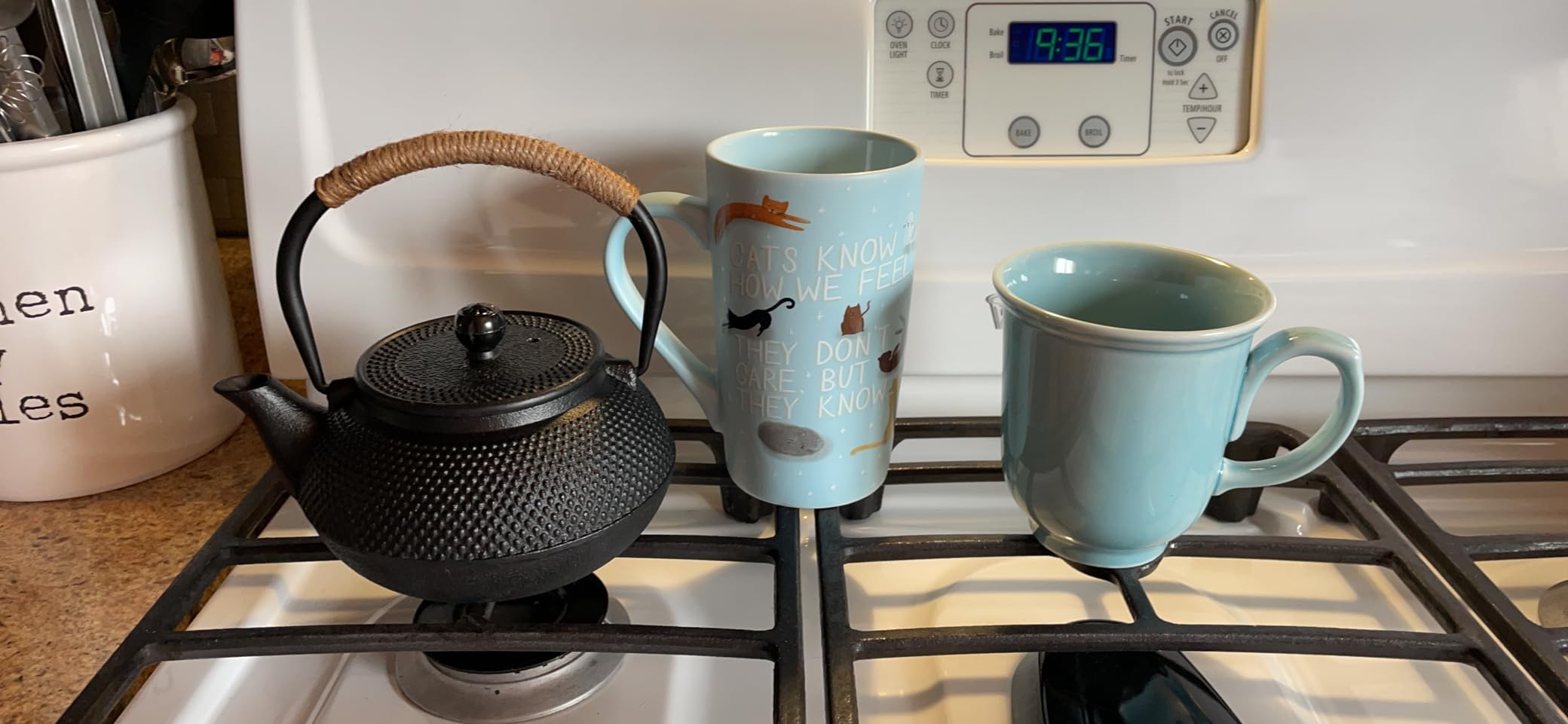 PARACITY Cast Iron Teapot Japanese Tetsubin Coated with Stainless Steel Infuser, Stovetop Tea Kettle for Boiling Hot Water Tea, Mothers Day Gifts from Daughter/Son 23.5 Oz /700 Ml - Customer Photo 1
