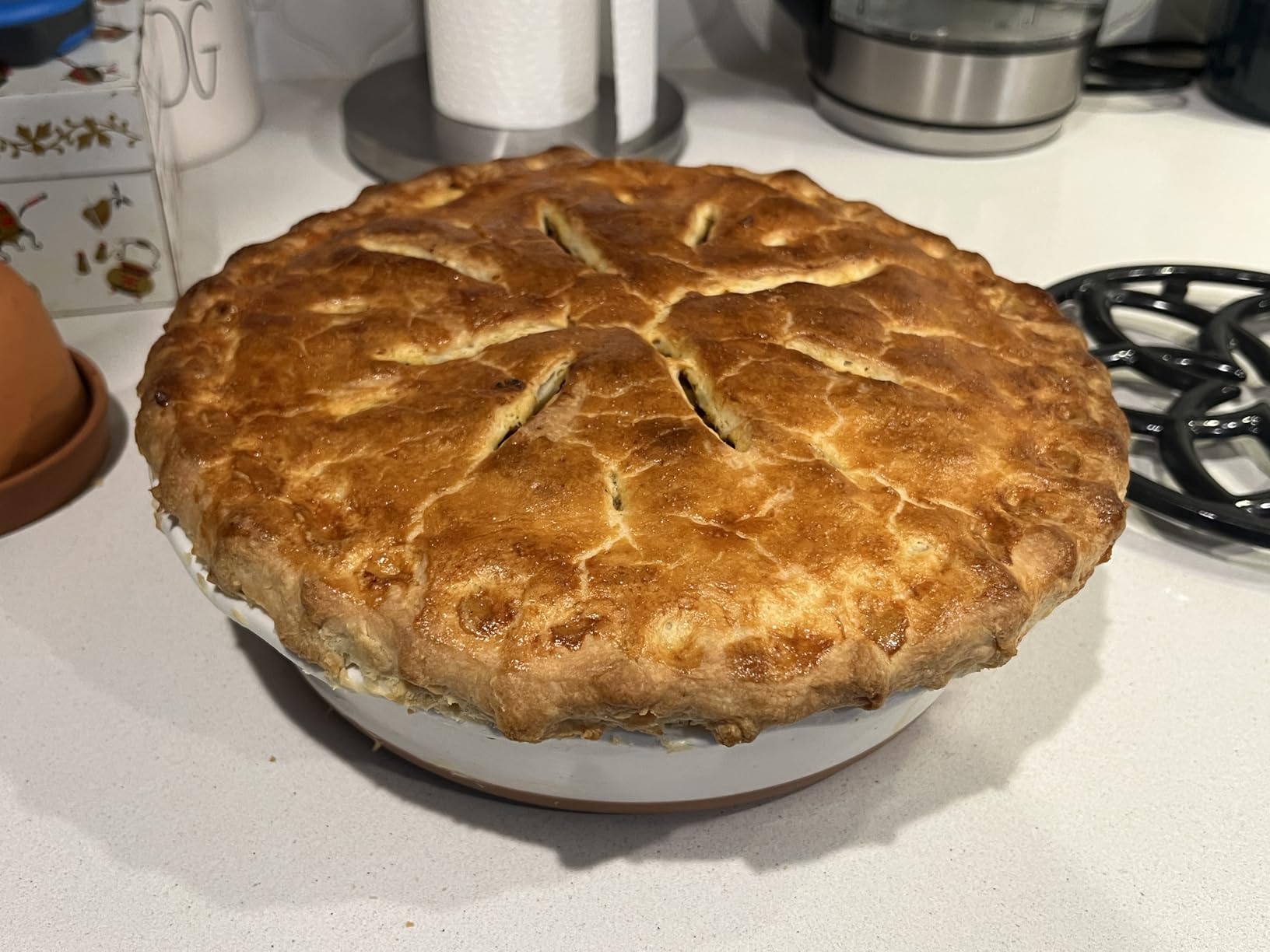 MORA Ceramic Pie Pan for Baking - 9 inch - Deep and Fluted Pie Dish for Old Fashion Apple Pie, Quiche, Pot Pies, Tart, etc - Modern Farmhouse Style Porcelain Ceramic Pie Plate - Vanilla White customer photo 2