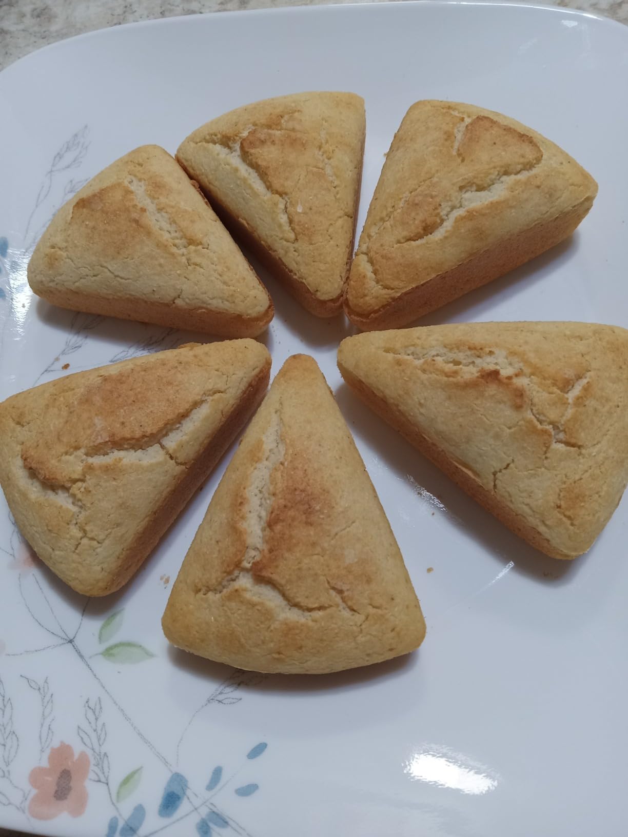 Lodge Cast Iron Wedge Pan customer photo 2