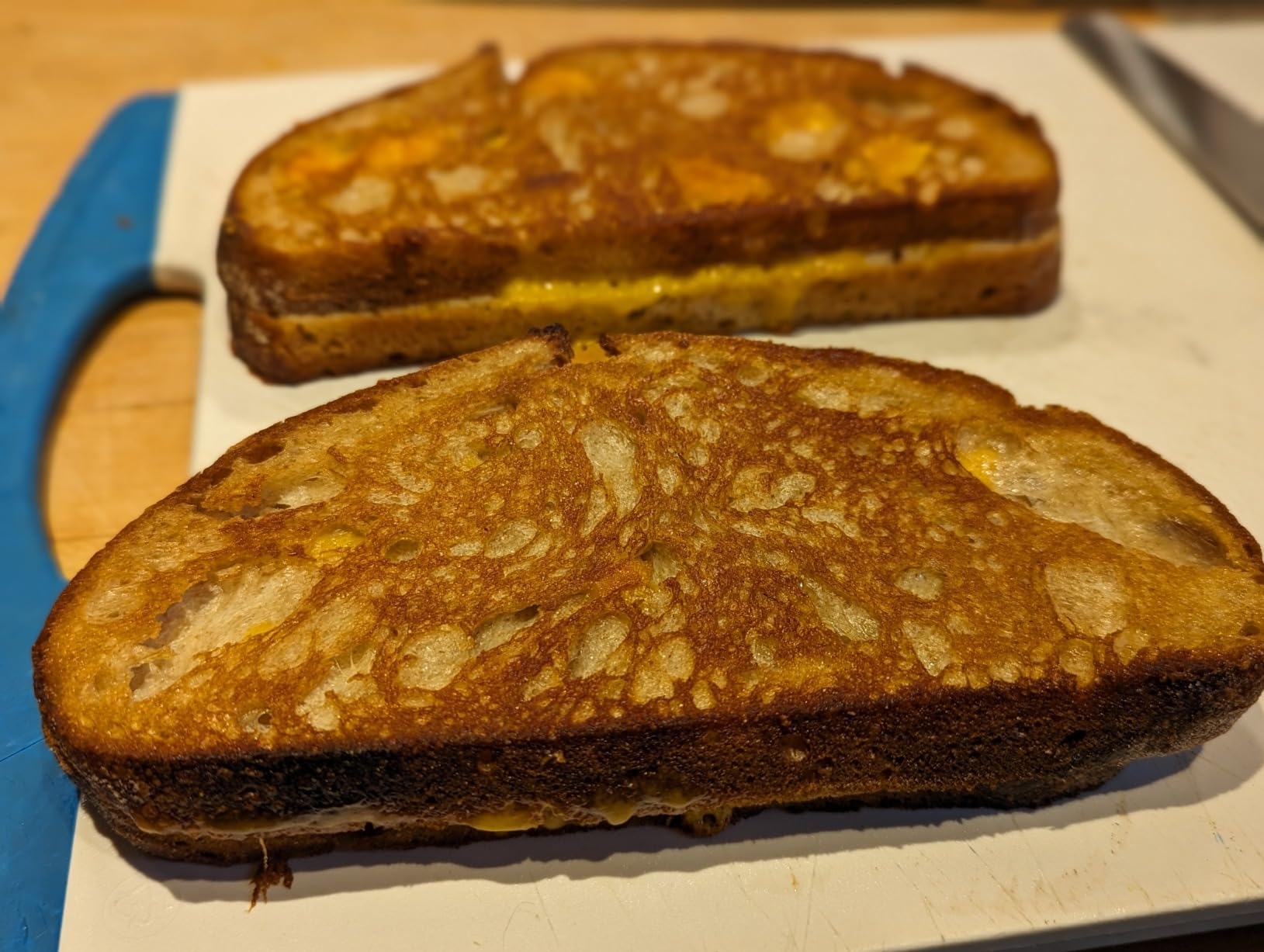 Lodge Pre-Seasoned Round Cast Iron Press - Cast Iron Griddle Press for a Restaurant-Quality Sear - Unparalleled Heat Retention - Use on Stove or Grill - 8 Inch customer photo 2