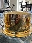 P-TAL Brass Stock Pot with Lid Naturally Nonstick and Toxin Free Pasta Pot Multipurpose Cooking Pot, PFOA and PTFE Free (1 Quart) customer photo 2