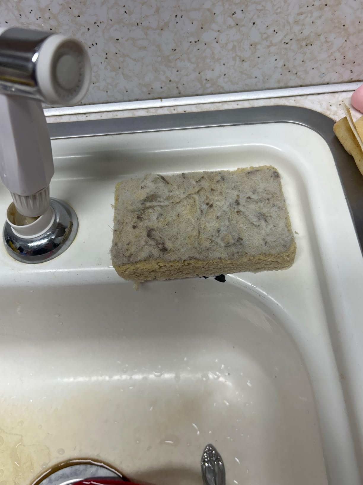 Plant-Based Kitchen Sponges - FSC Certified and PETA Approved, Natural, Eco-Friendly, Biodegradable Sisal Hemp Sponges for Dishes, Cleaning Sponge for Kitchen, Bathroom, Household - 12 Count - Customer Photo 1