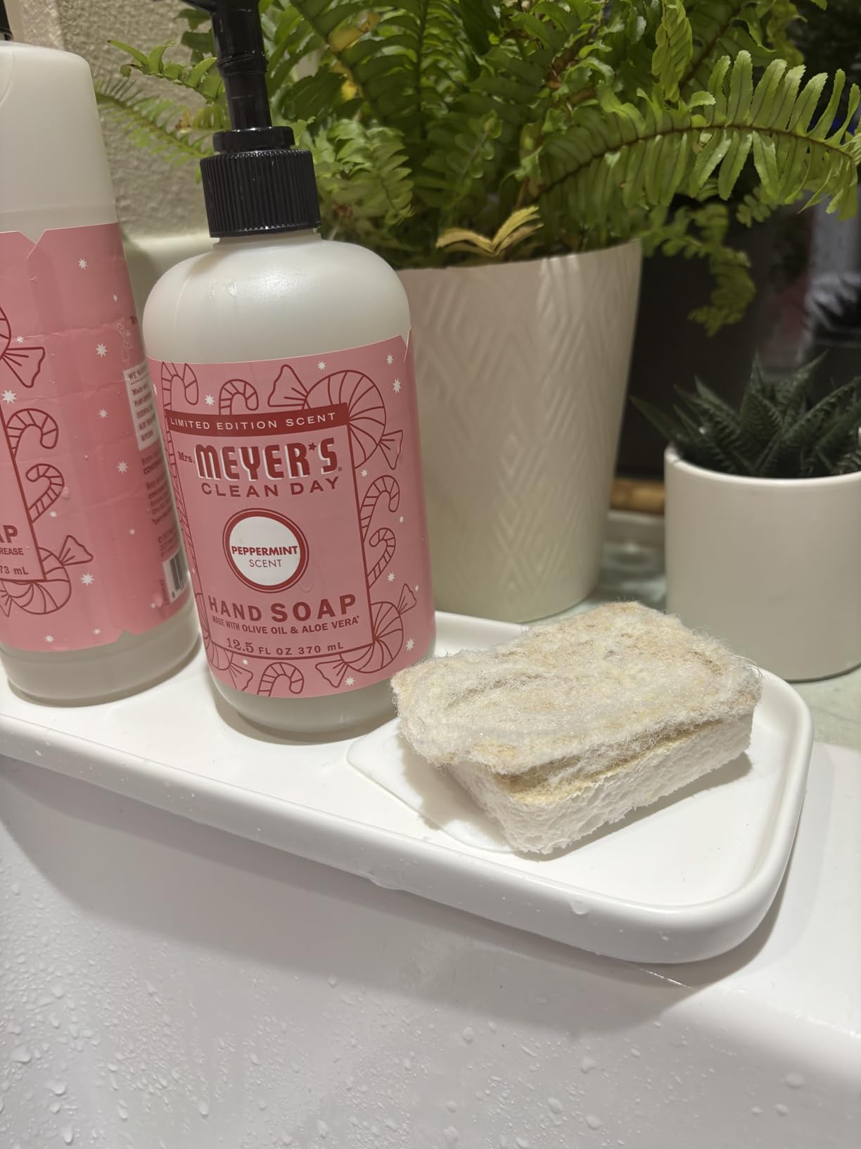 Plant-Based Kitchen Sponges - FSC Certified and PETA Approved, Natural, Eco-Friendly, Biodegradable Sisal Hemp Sponges for Dishes, Cleaning Sponge for Kitchen, Bathroom, Household - 12 Count - Customer Photo 3