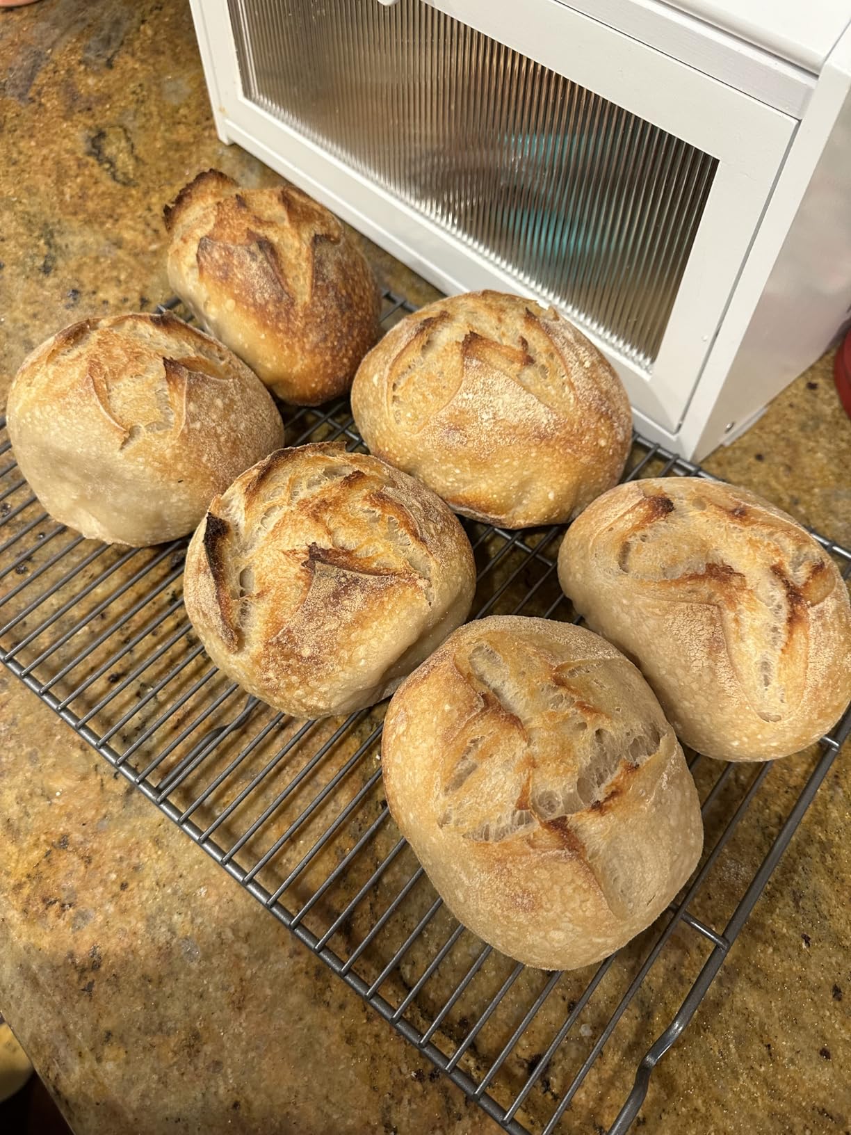 Kikcoin 5 Inch Rattan Banneton Bread Proofing Basket Set of 6, Mini Sourdough Bread Baking Supplies, Small Proofing Baskets for Sourdough Bread Baking customer photo 1