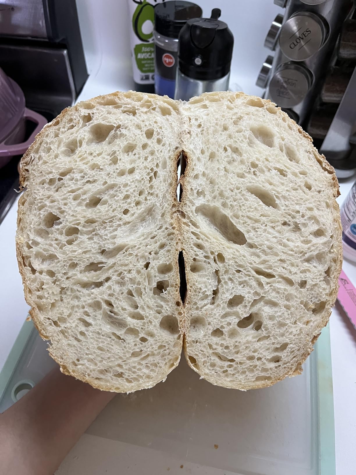 Bread Oven Cast Iron Bread Dutch Oven with Cloche Lid for Bread Baking Darkcyan Enameled Cast Iron Bread Oven with Dome Lid for Sourdough, 9.8 Inches customer photo 1