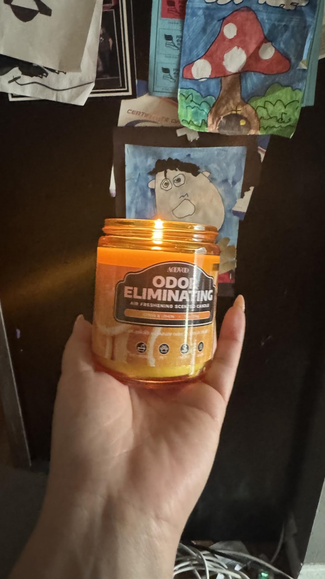 AOOVOO Citrus Lemon Odor Eliminating Highly Fragranced Candle - Eliminates 95% of Pet, Smoke, Food, and Other Smells Quickly, Non Toxic Air Freshing Soy Candle, 9 oz Up to 50 Hours Burn time Customer Review AOOVOO Citrus Lemon Odor Eliminating Highly Fragranced Candle - Eliminates 95% of Pet, Smoke, Food, and Other Smells Quickly, Non Toxic Air Freshing Soy Candle, 9 oz Up to 50 Hours Burn time - Customer Photo 2