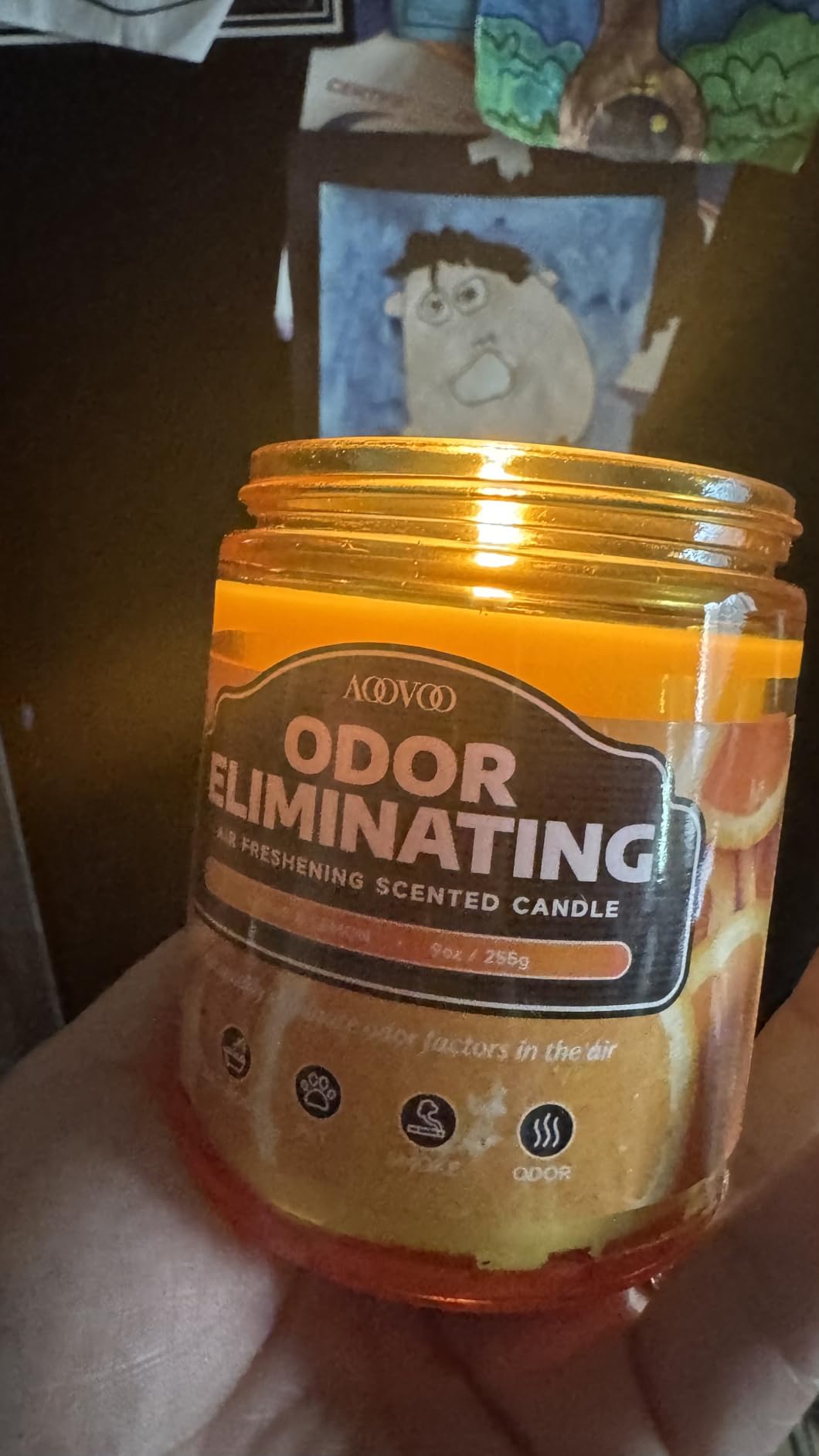 AOOVOO Citrus Lemon Odor Eliminating Highly Fragranced Candle - Eliminates 95% of Pet, Smoke, Food, and Other Smells Quickly, Non Toxic Air Freshing Soy Candle, 9 oz Up to 50 Hours Burn time Customer Review AOOVOO Citrus Lemon Odor Eliminating Highly Fragranced Candle - Eliminates 95% of Pet, Smoke, Food, and Other Smells Quickly, Non Toxic Air Freshing Soy Candle, 9 oz Up to 50 Hours Burn time - Customer Photo 4